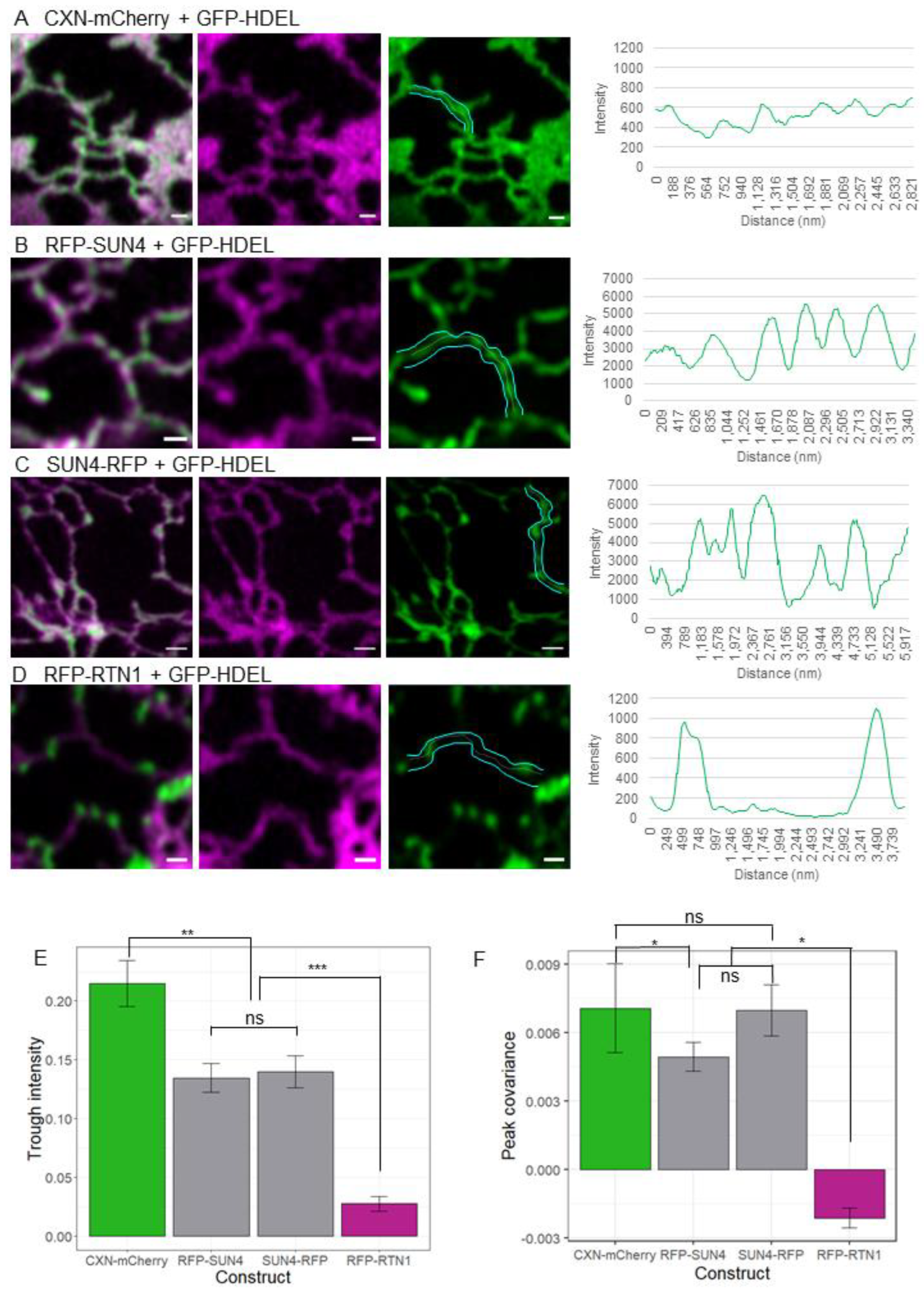 Plants 12 01787 g003