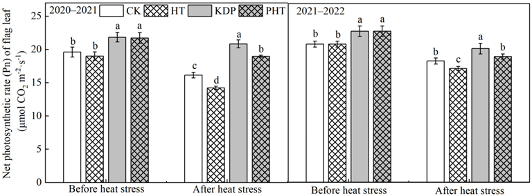 Plants 12 01801 g002
