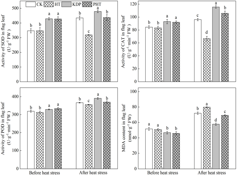 Plants 12 01801 g003