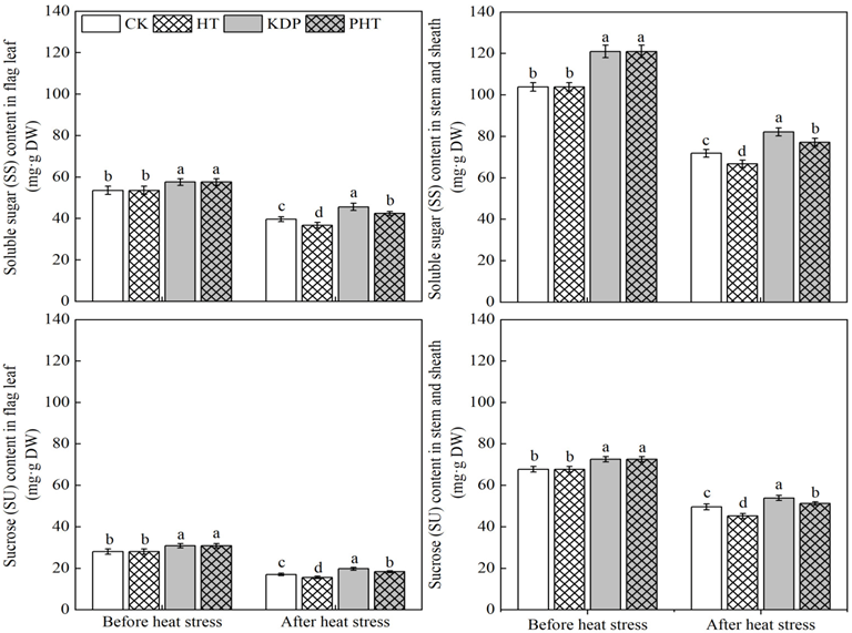 Plants 12 01801 g004