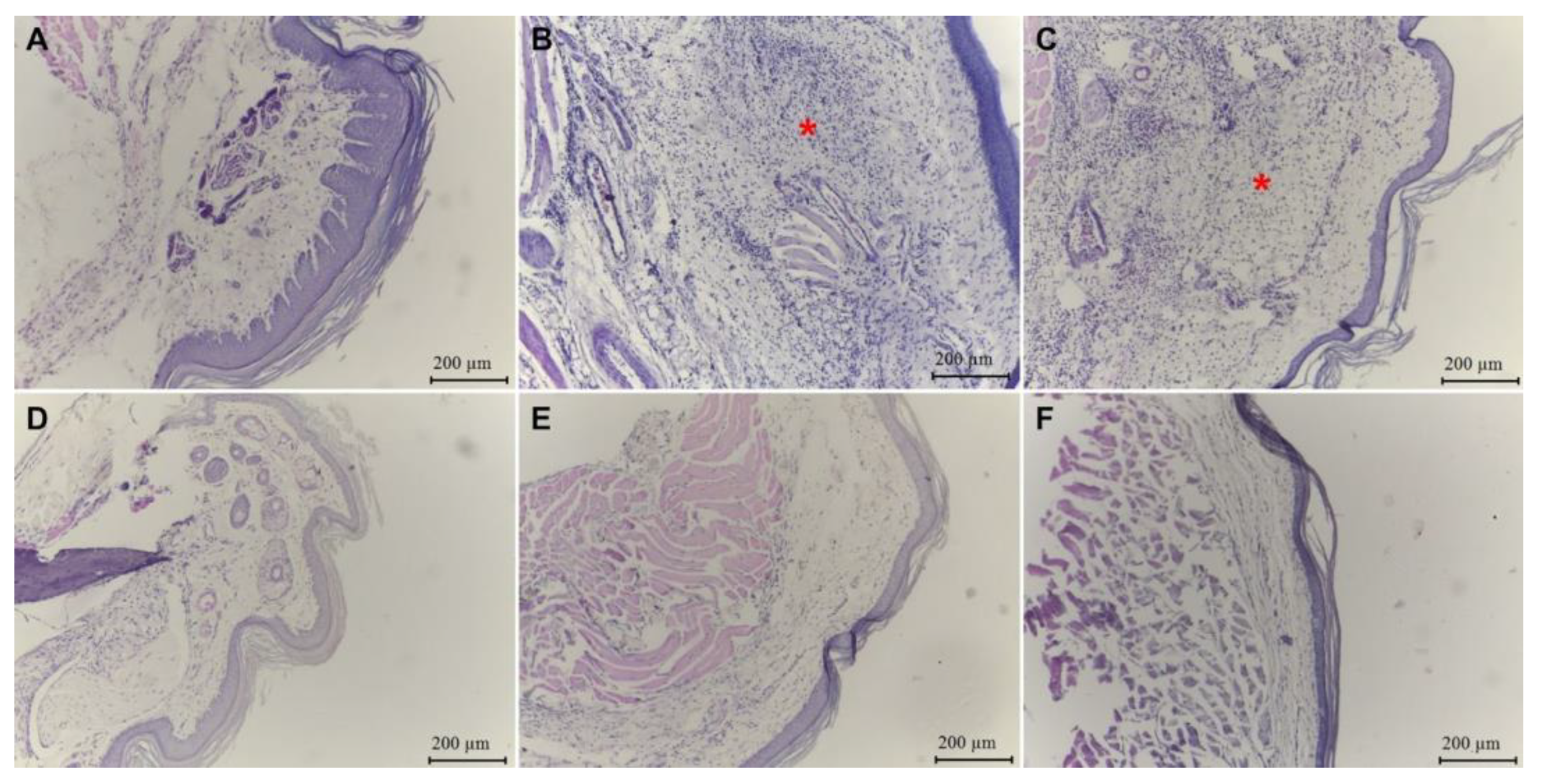 Plants 12 01814 g005