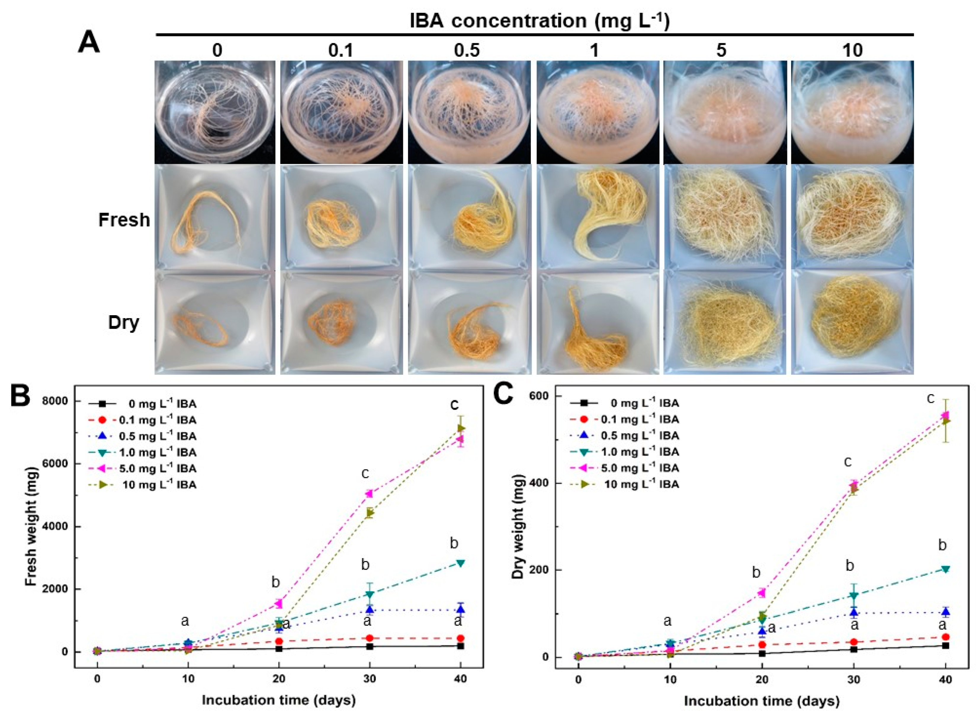 Plants 12 01821 g001 Plants 12 01821 g001