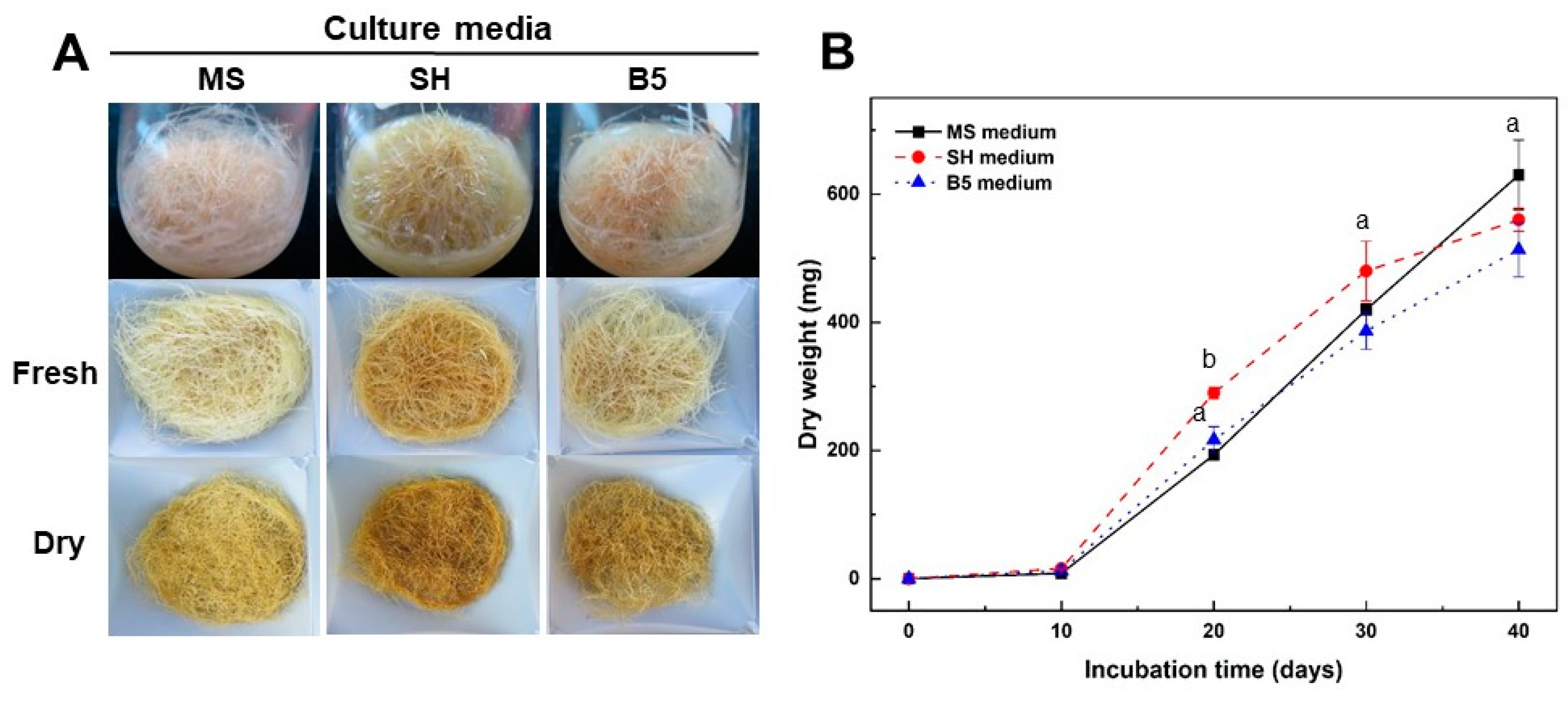 Plants 12 01821 g002 Plants 12 01821 g002