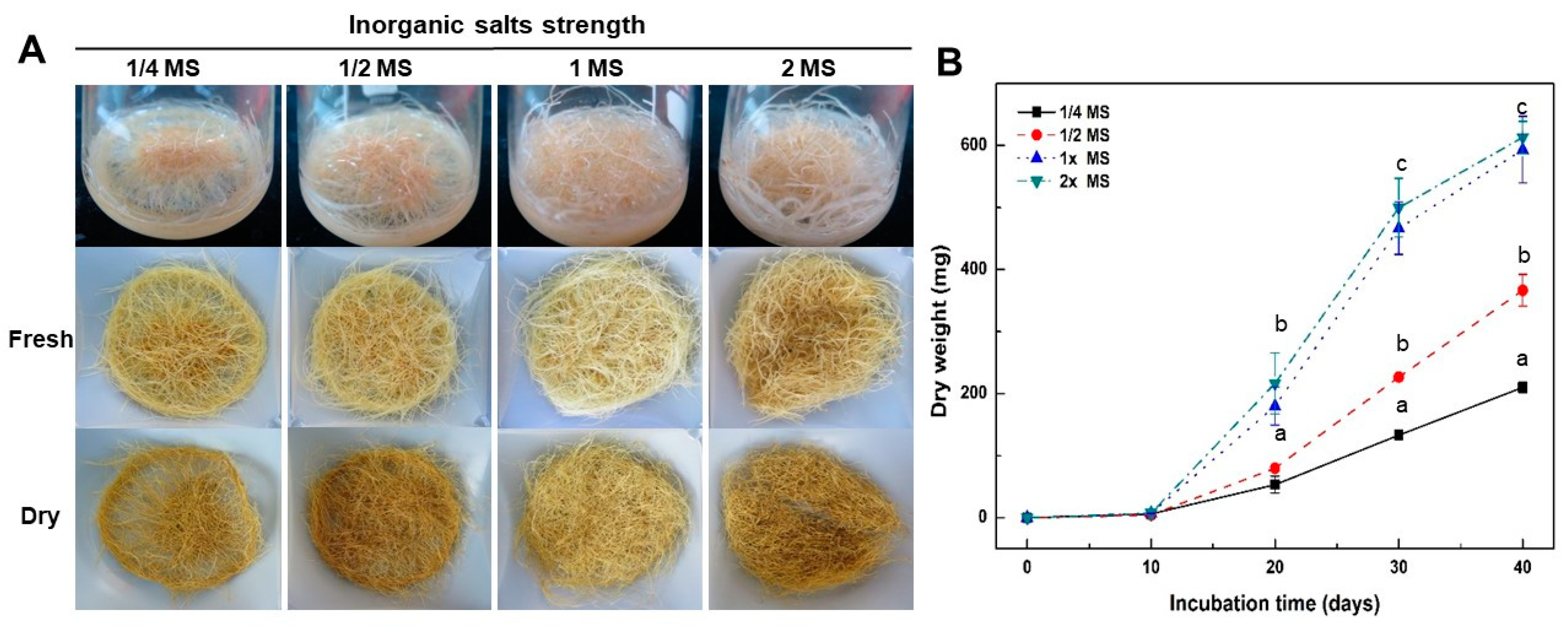 Plants 12 01821 g003 Plants 12 01821 g003