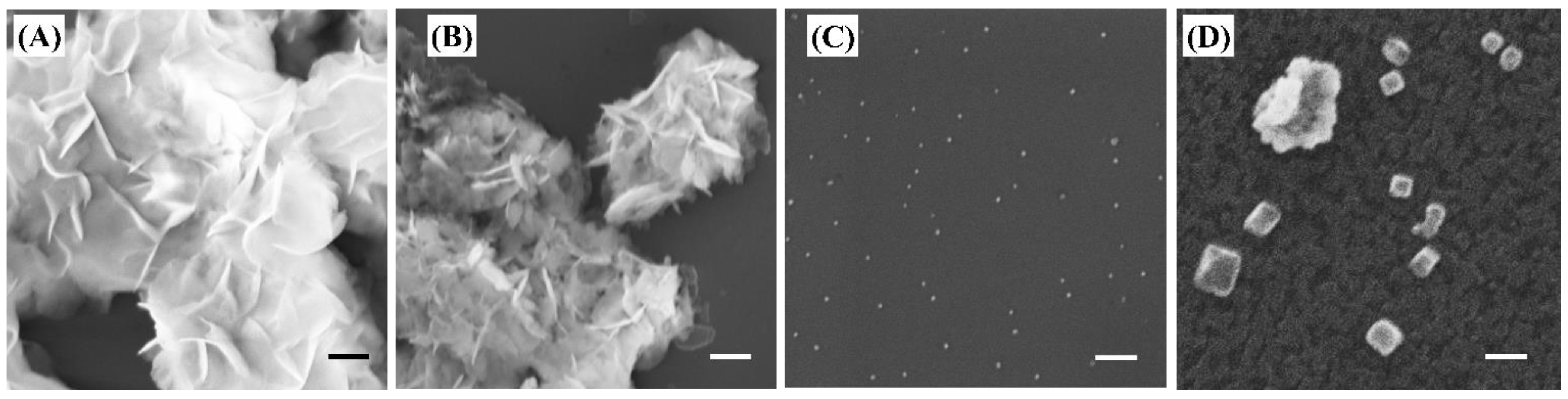 Plants 12 01832 g001