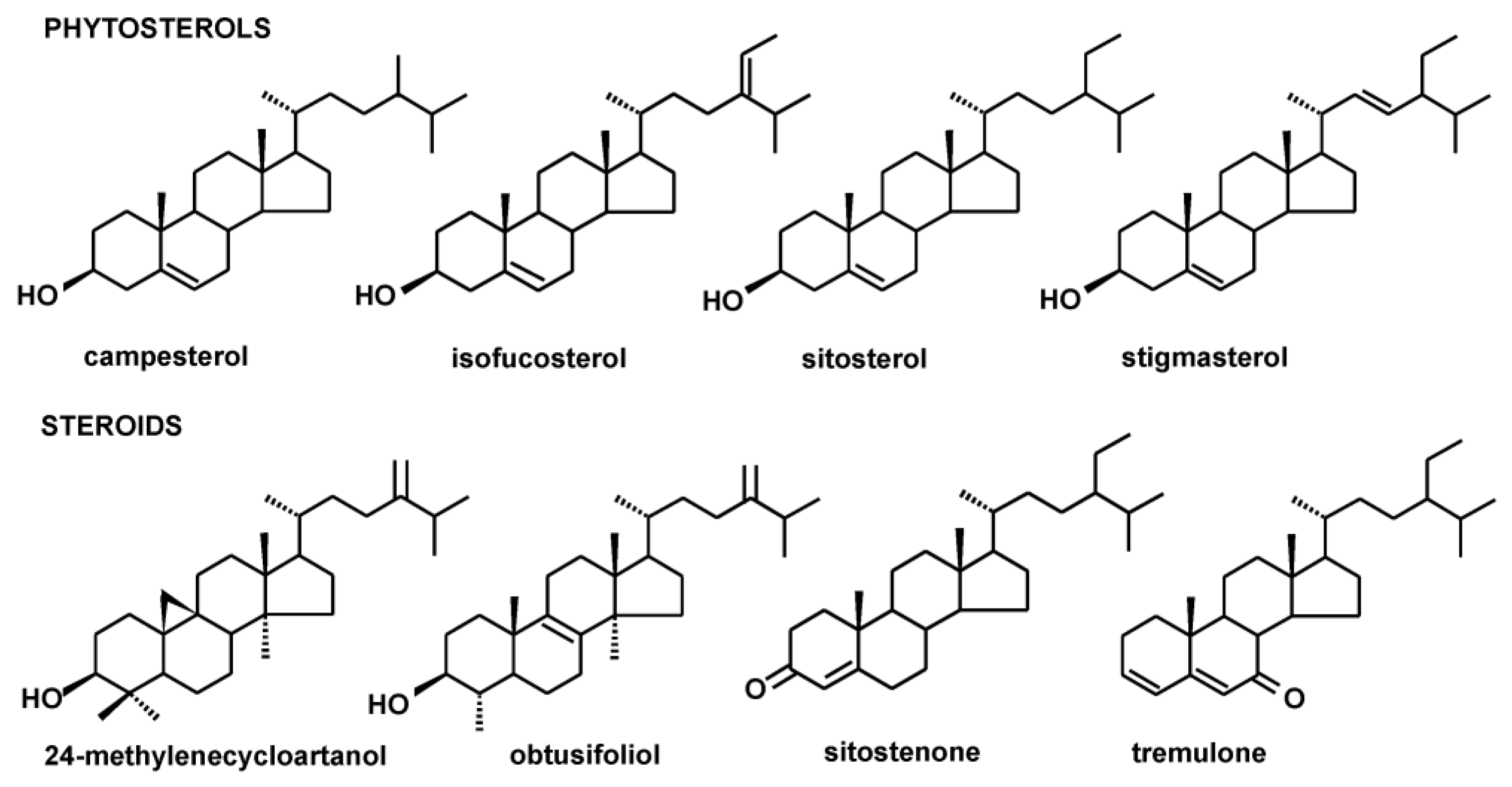 Plants 12 01838 g001