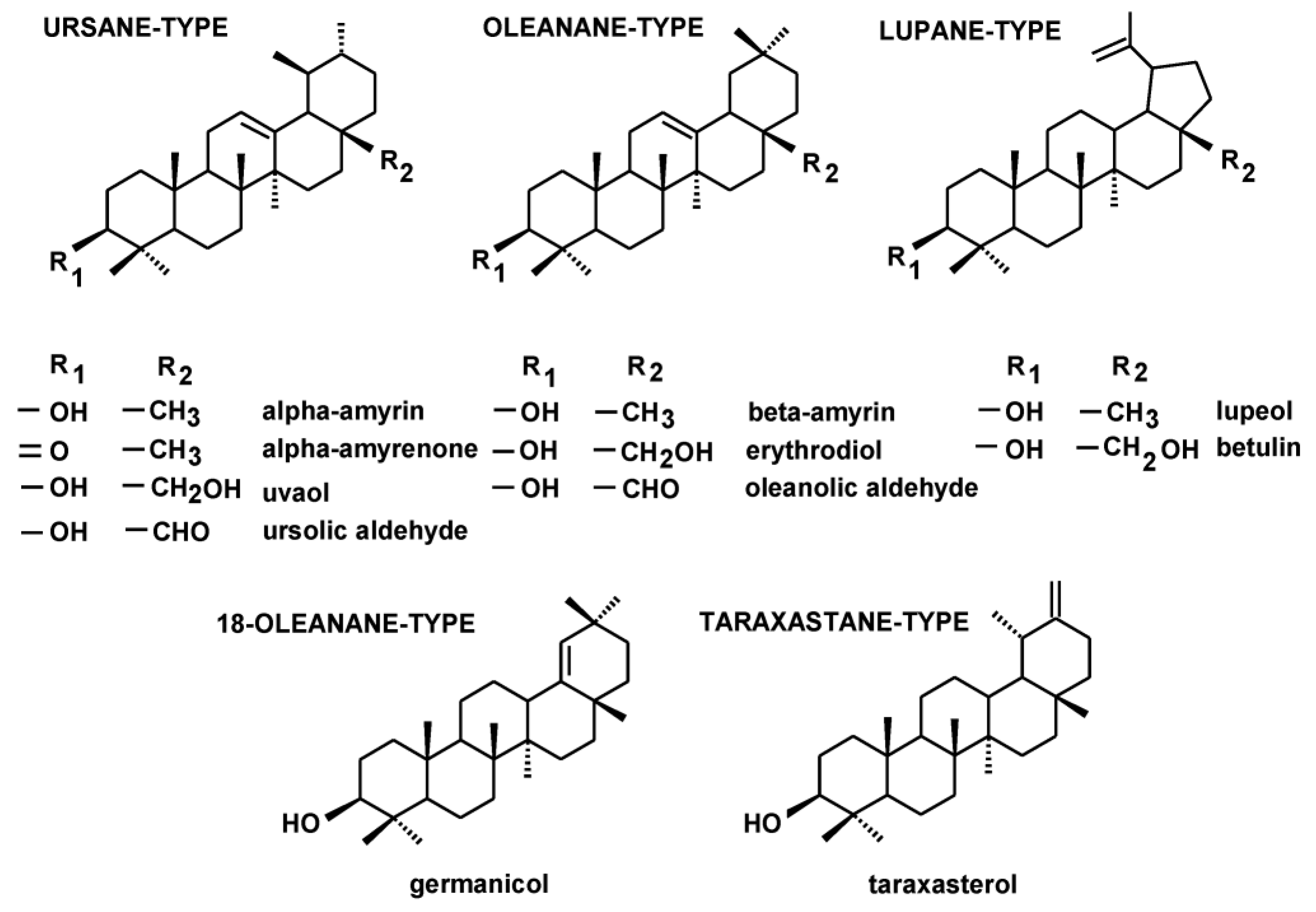 Plants 12 01838 g002