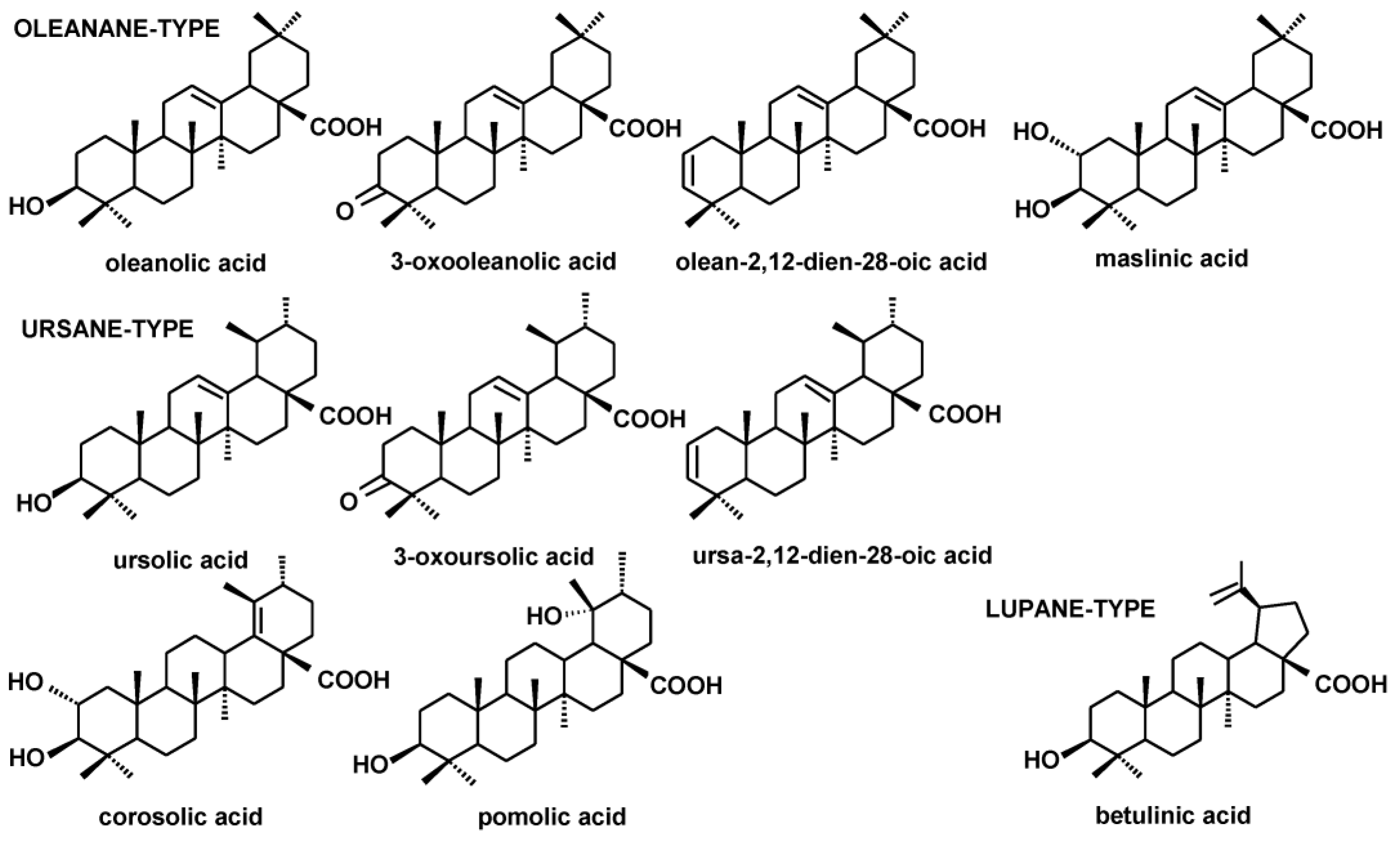 Plants 12 01838 g003