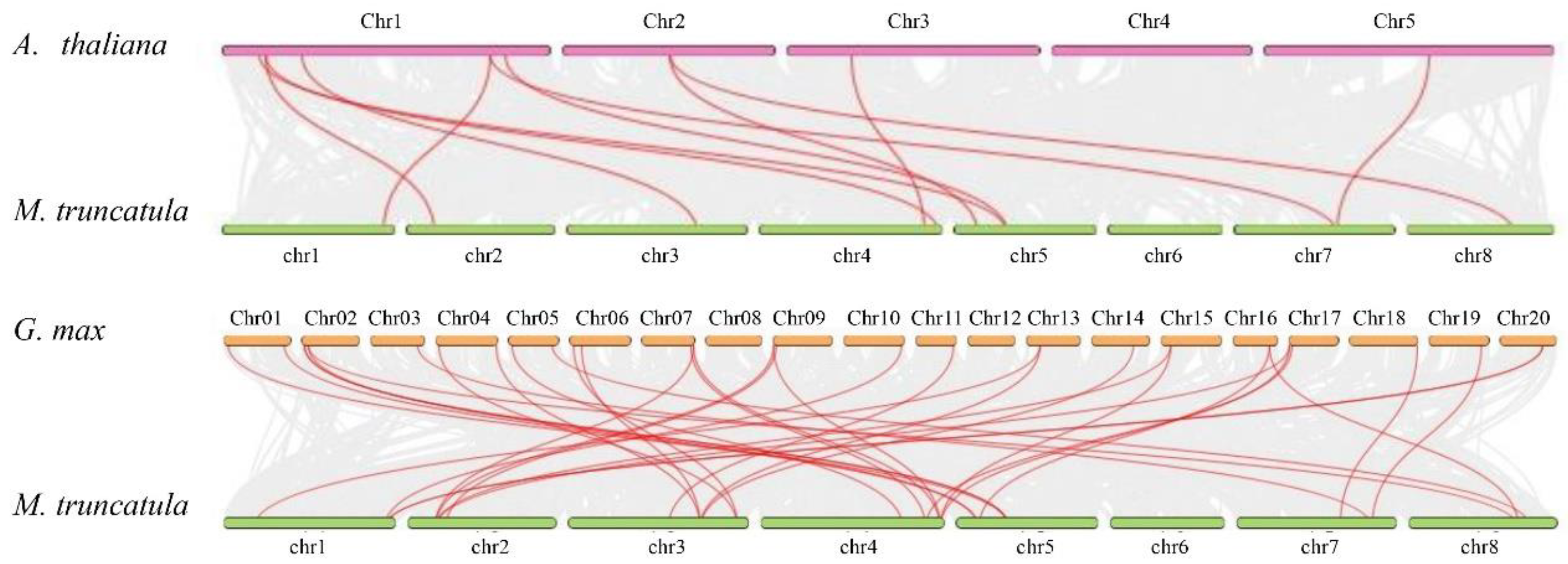 Plants 12 01849 g002