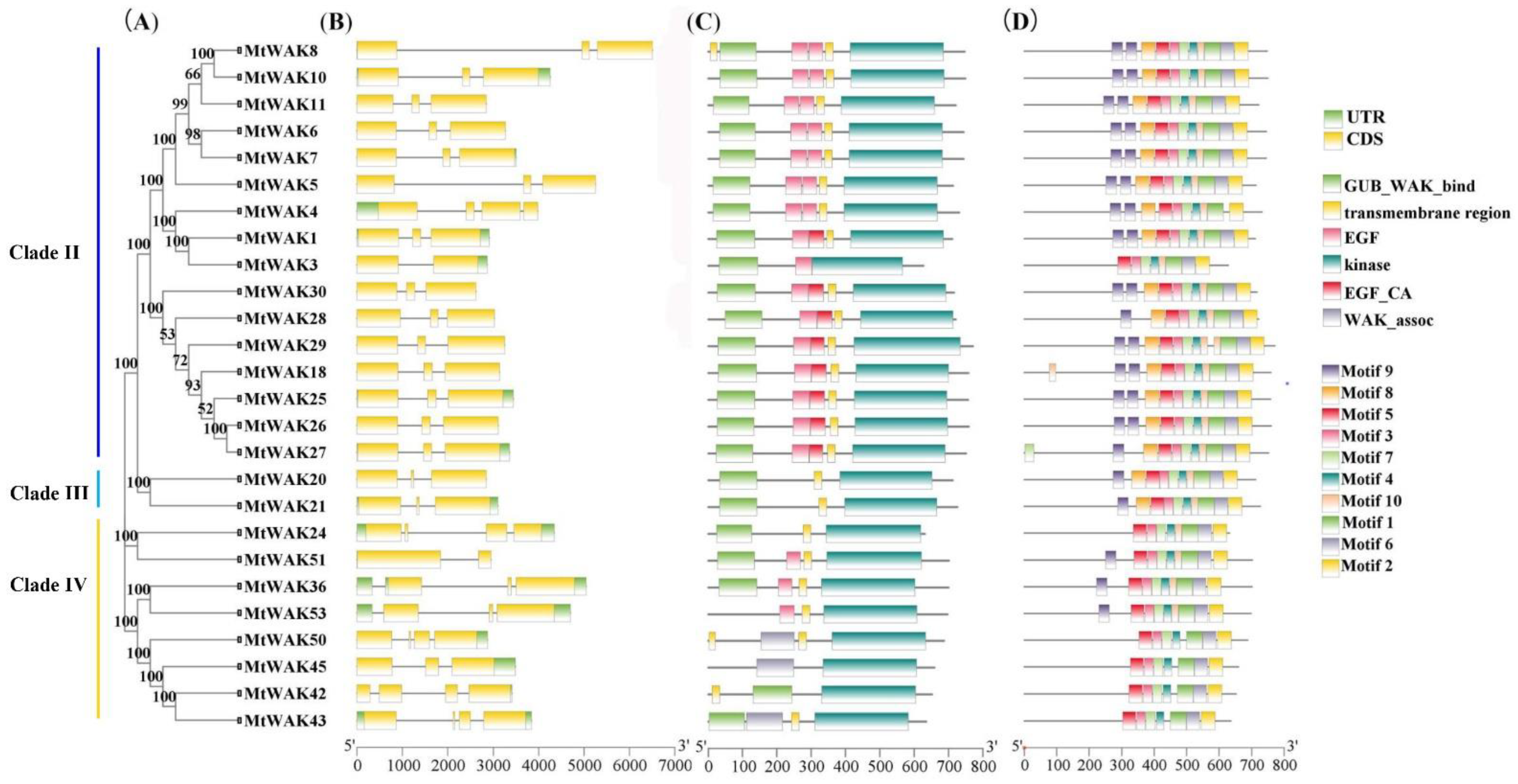 Plants 12 01849 g004