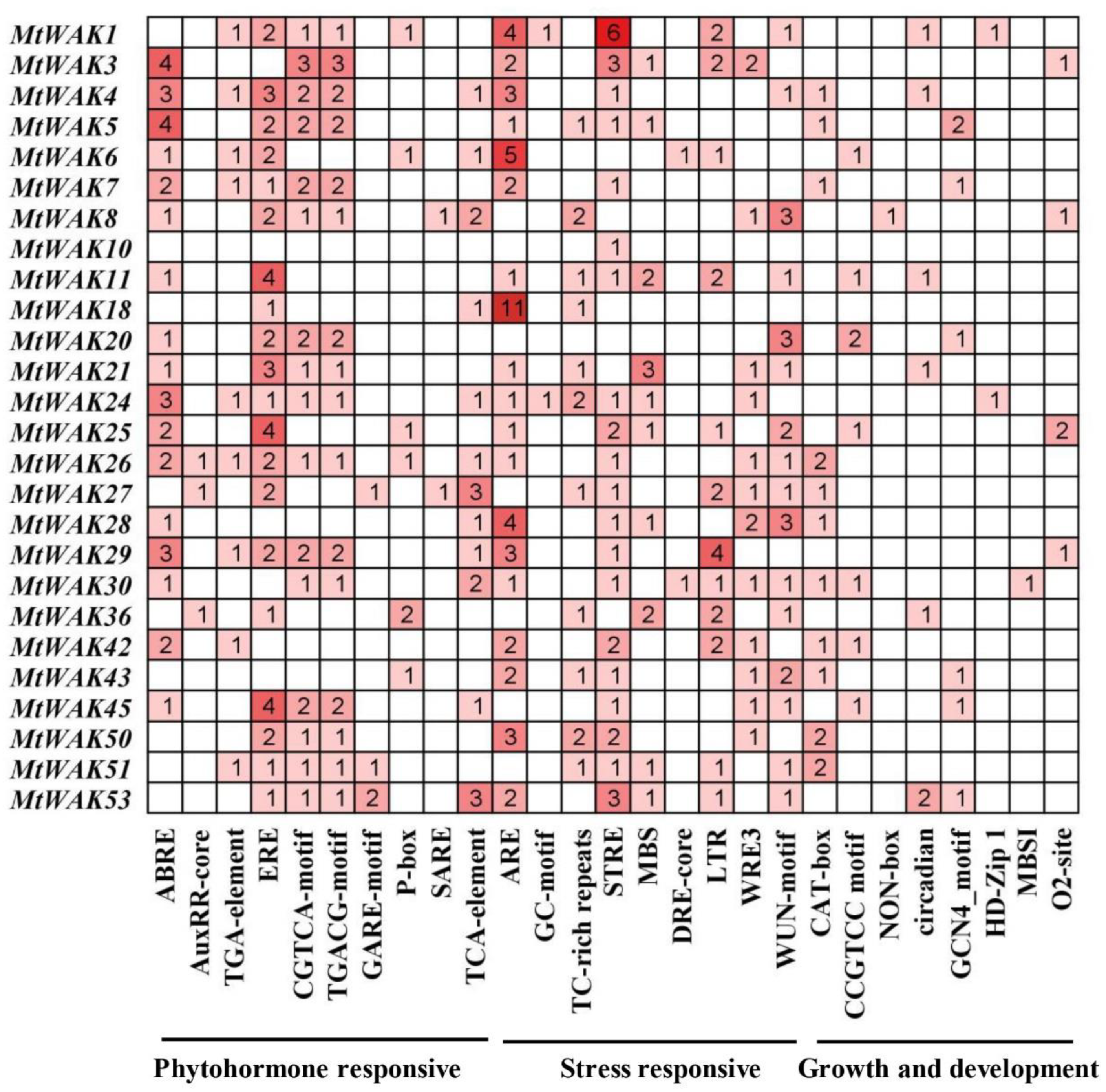Plants 12 01849 g005