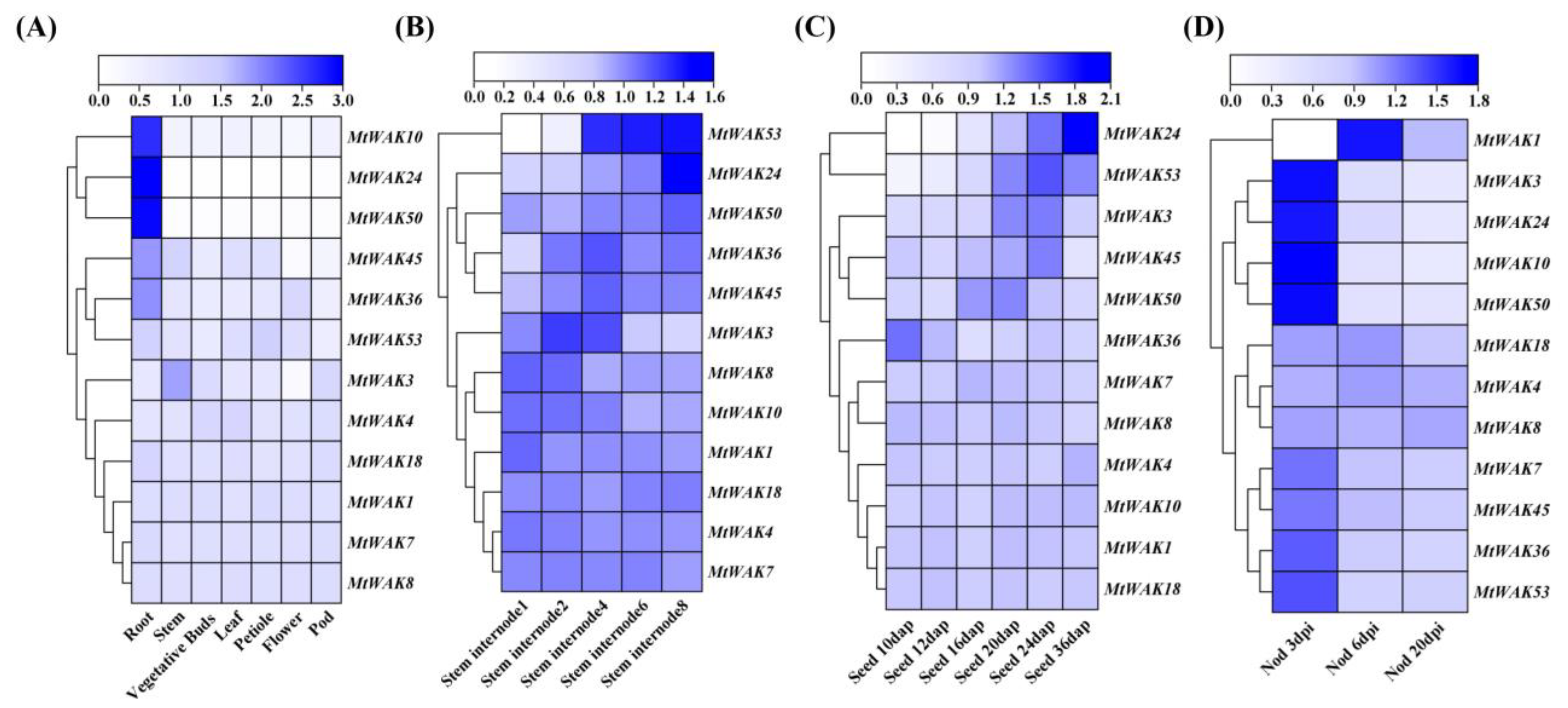 Plants 12 01849 g006