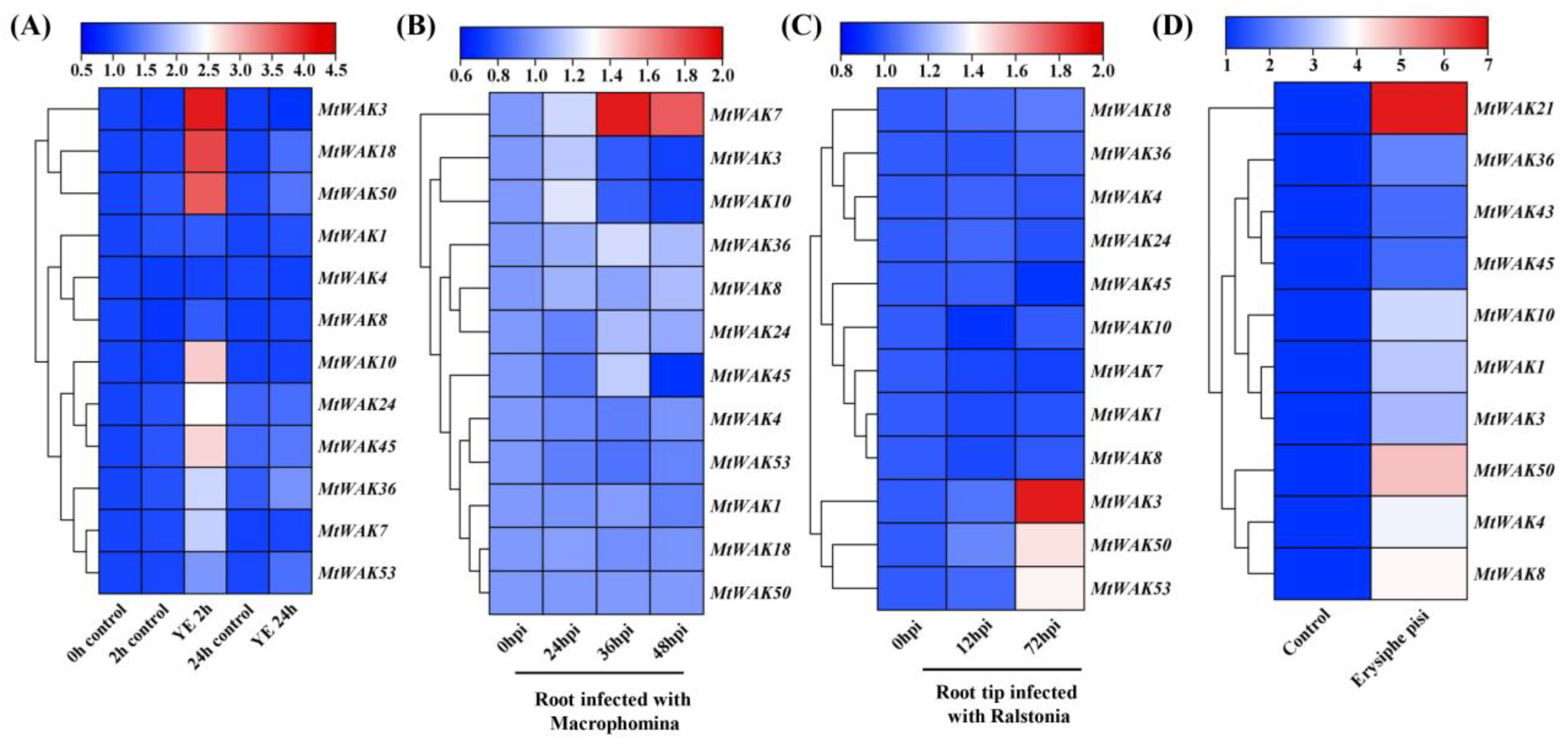 Plants 12 01849 g007