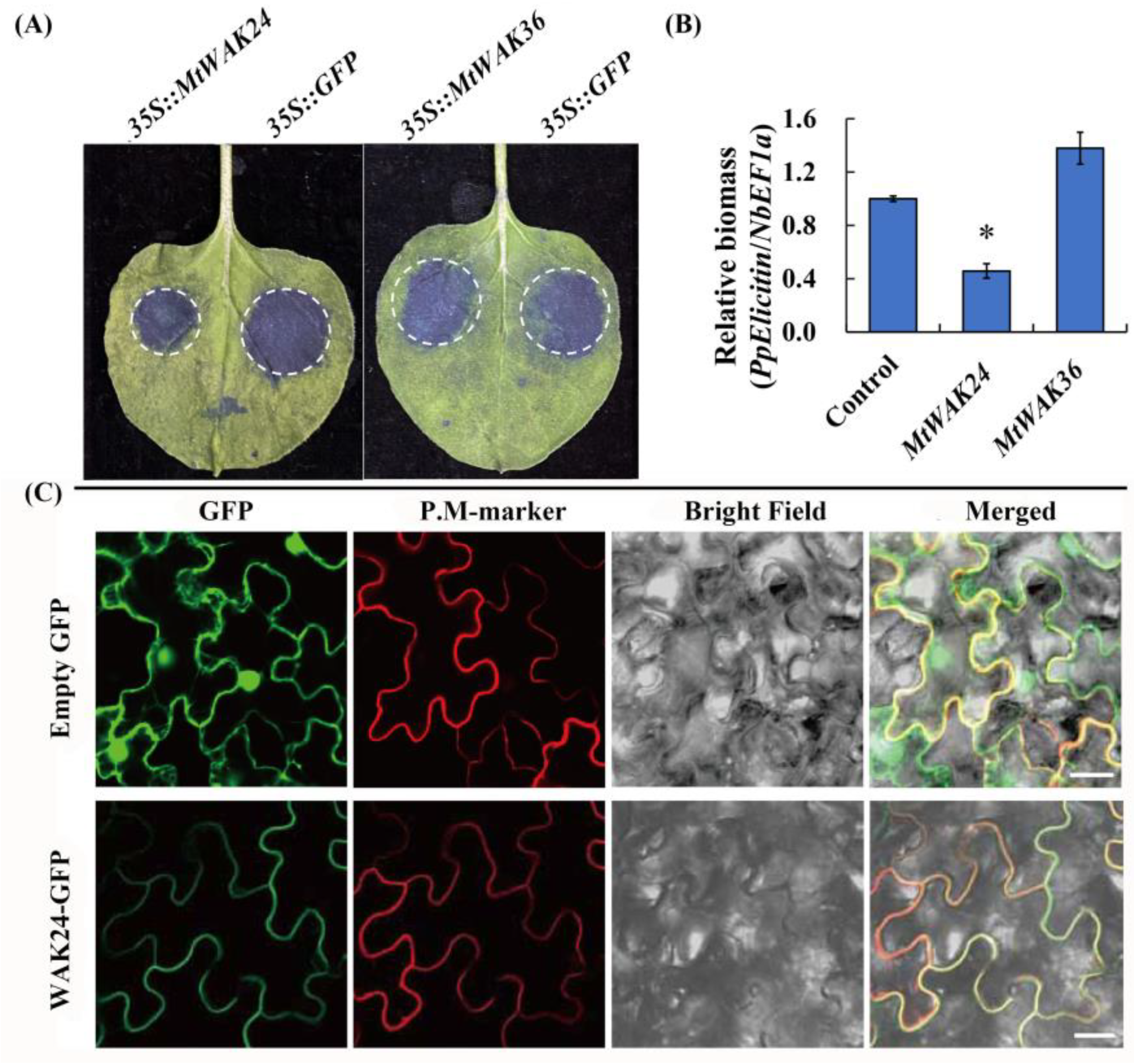 Plants 12 01849 g010