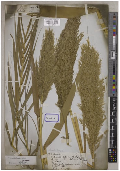 Plants 12 01850 g006 550