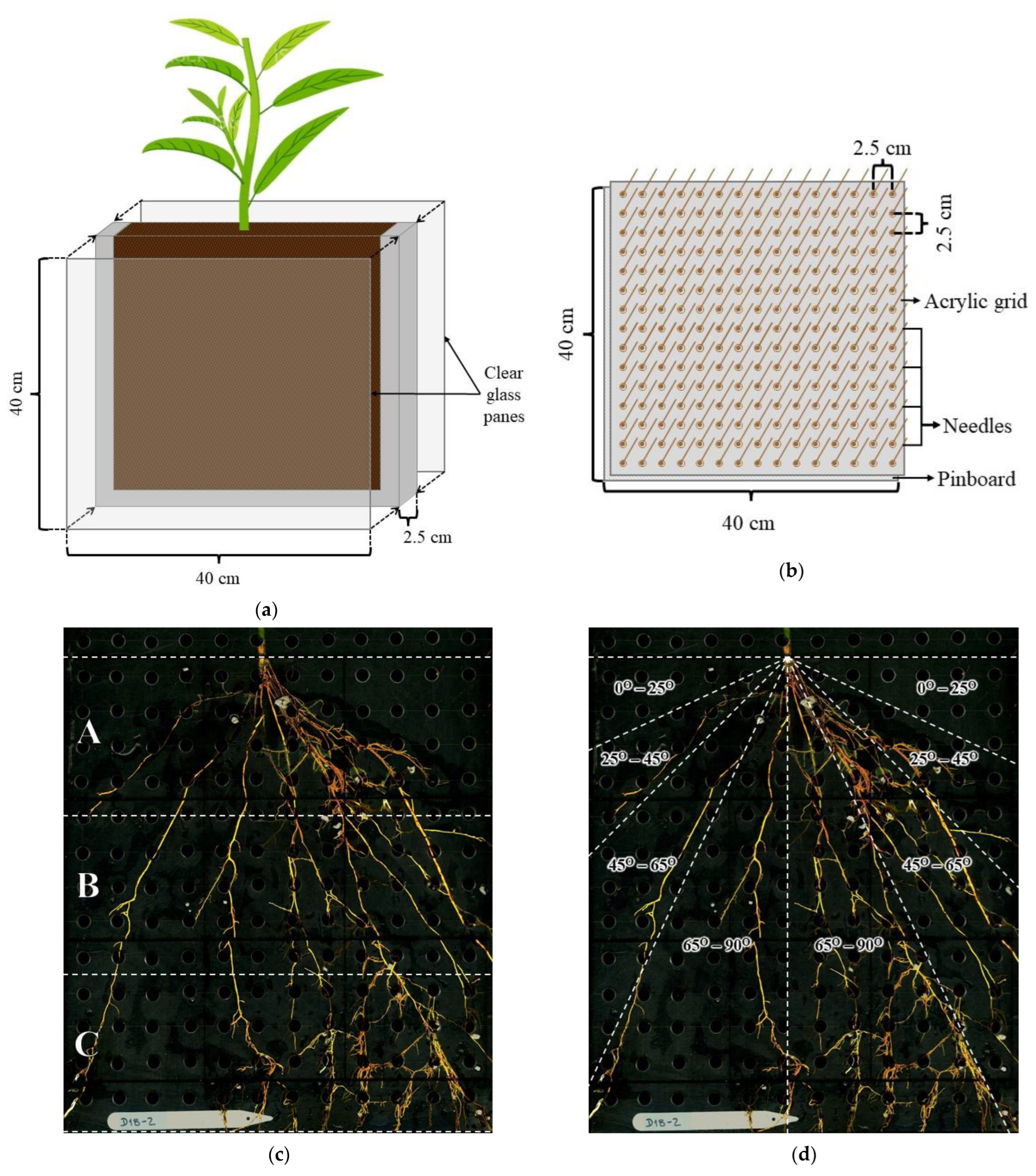 Plants 12 01874 g003 Plants 12 01874 g003