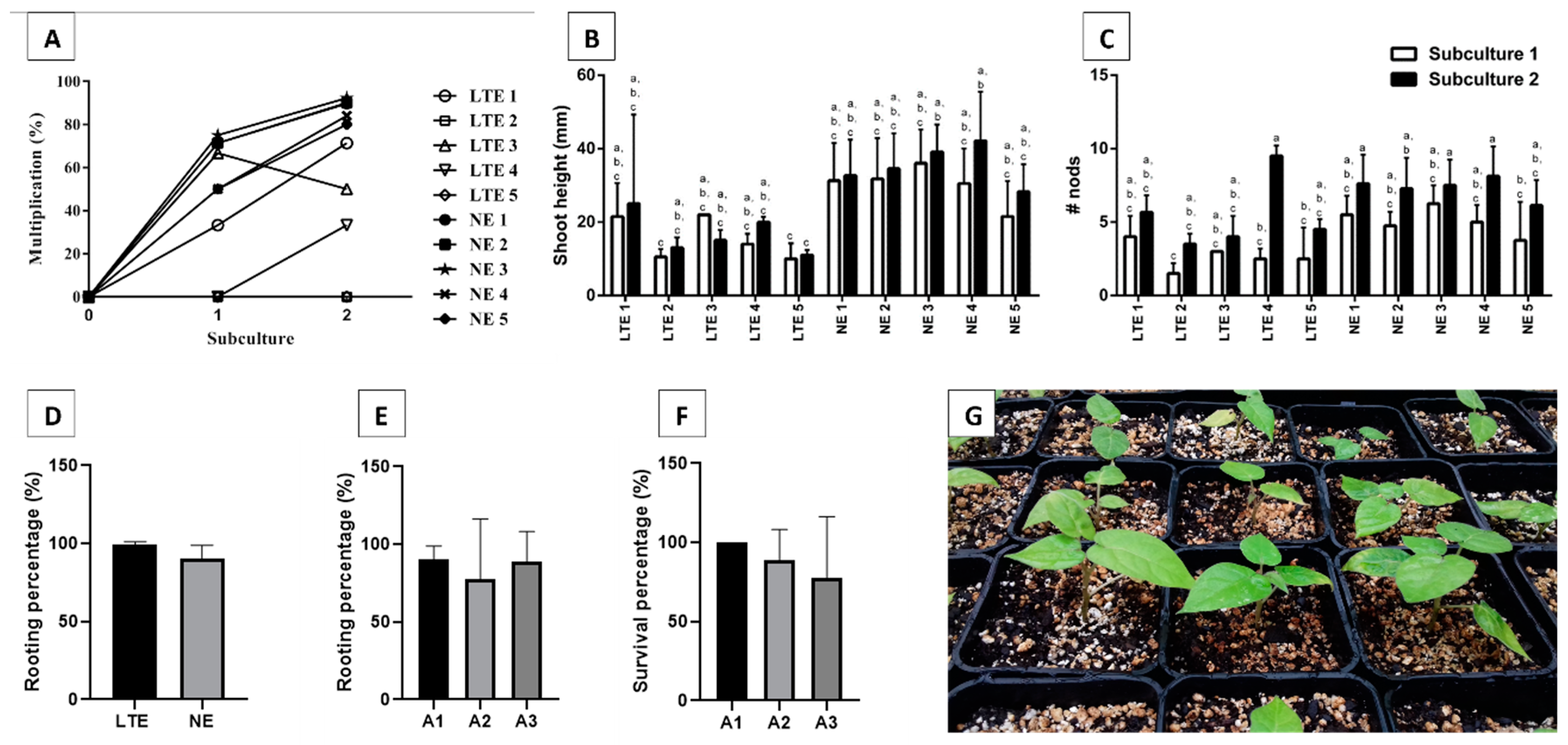 Plants 12 01884 g001