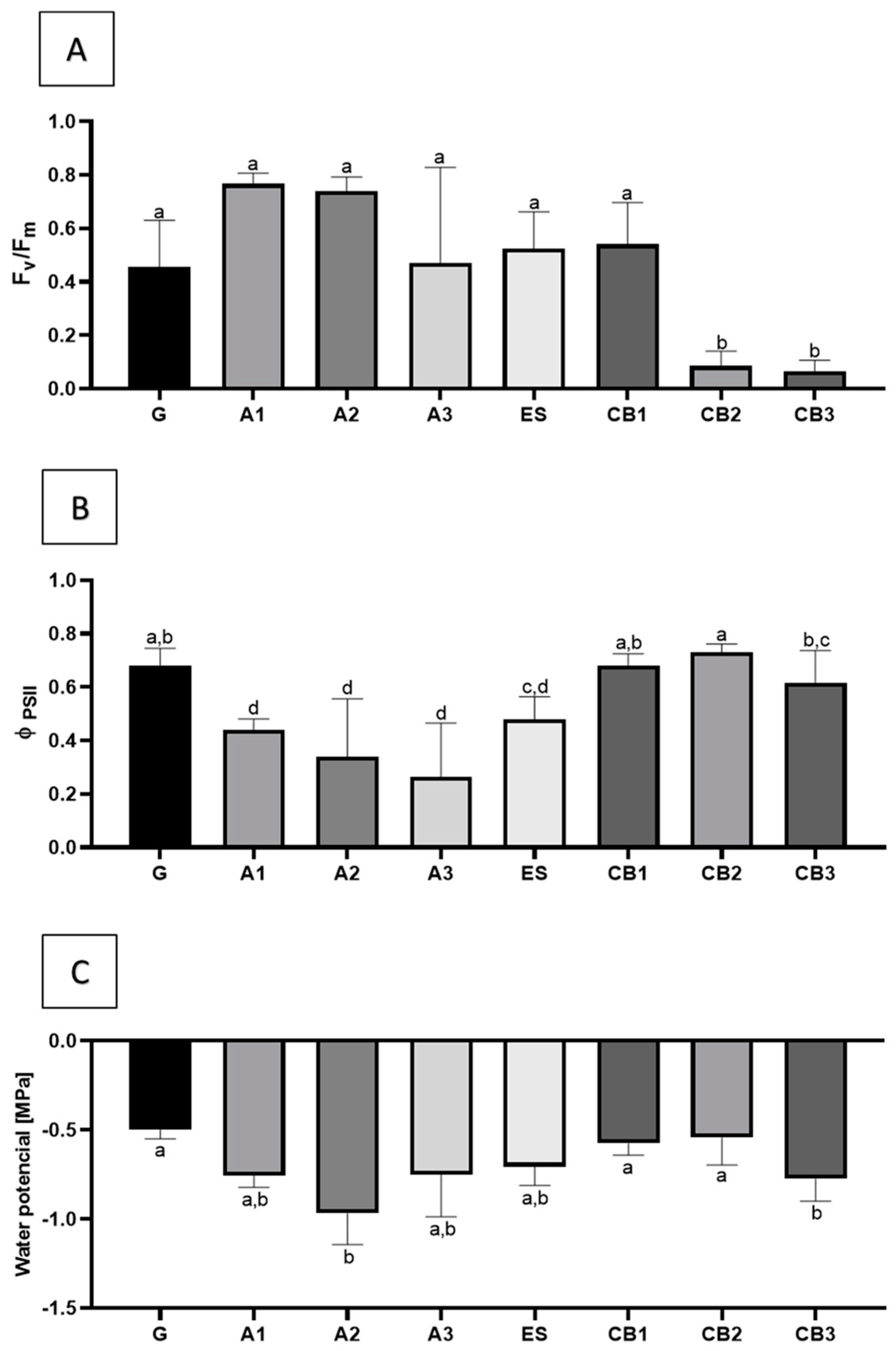 Plants 12 01884 g005