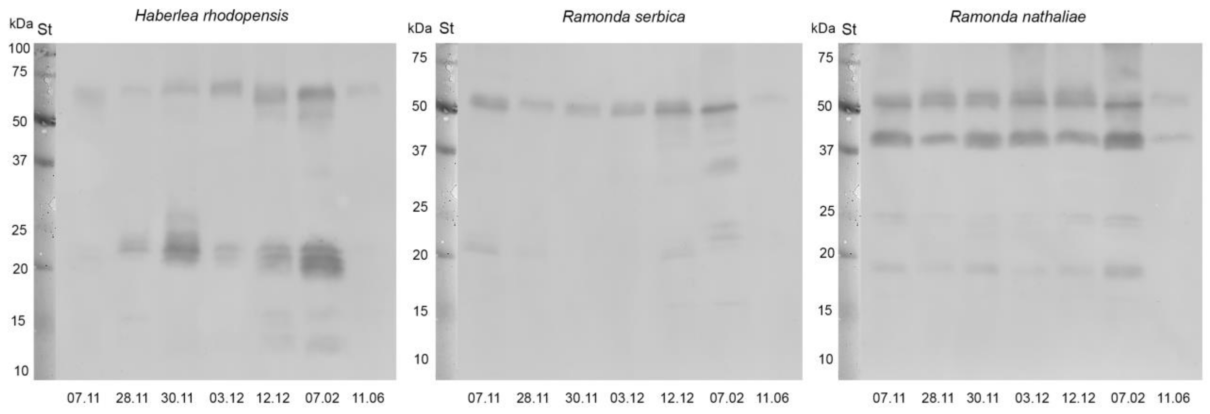 Plants 12 01893 g006 Plants 12 01893 g006