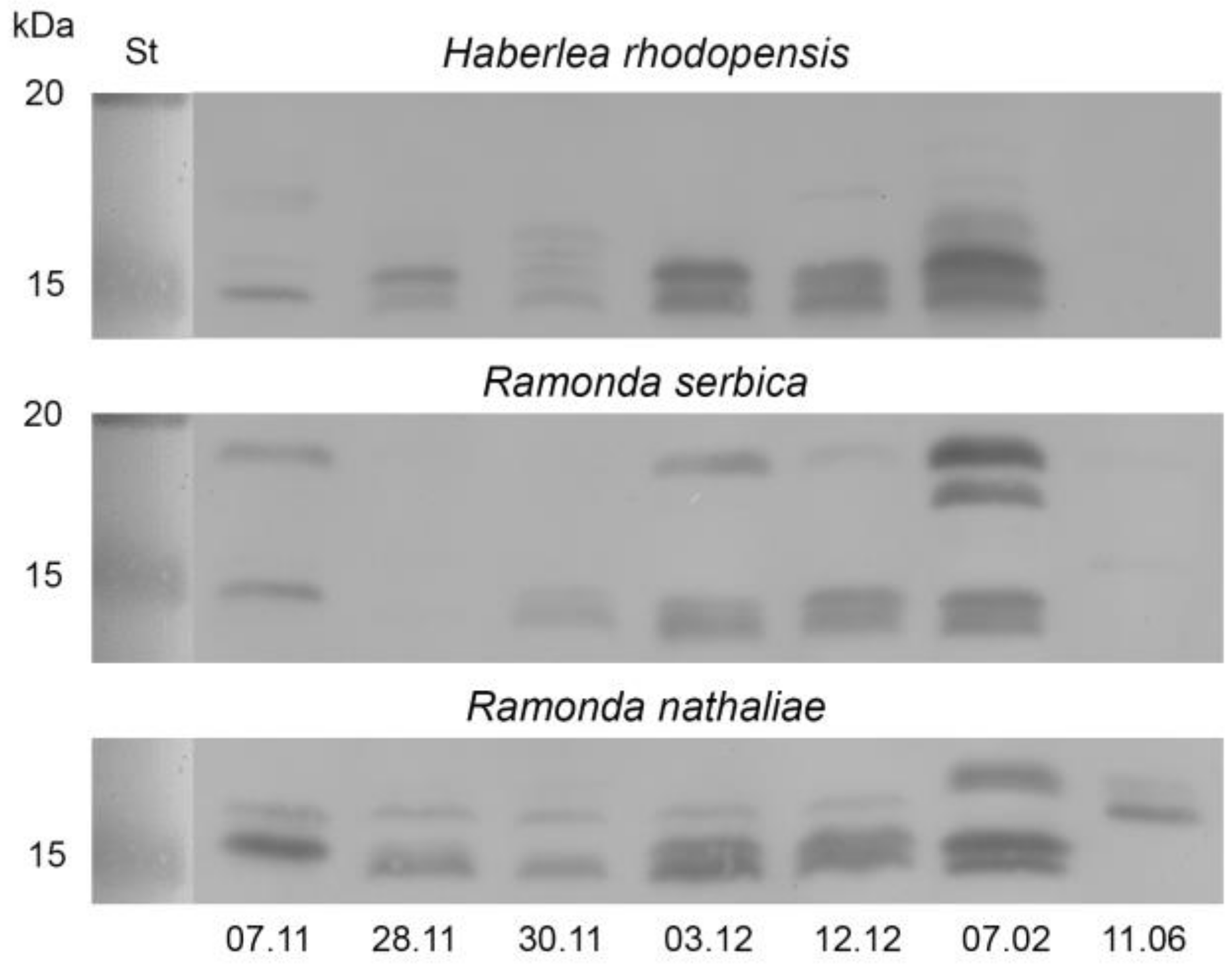 Plants 12 01893 g007 Plants 12 01893 g007