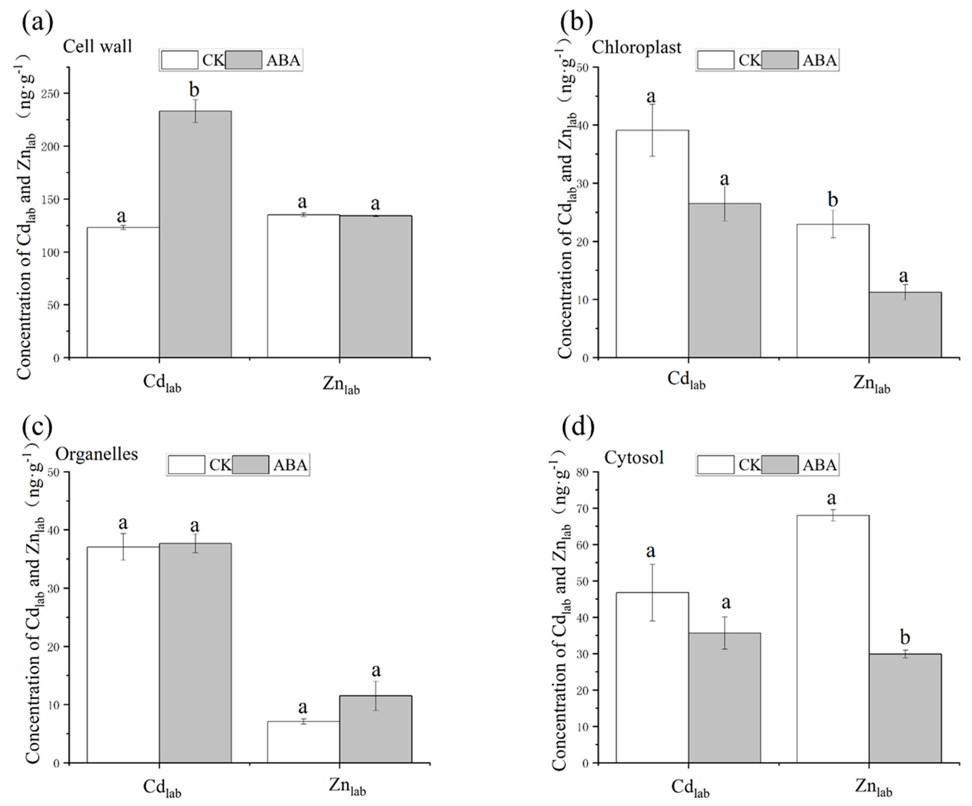Plants 12 01902 g004