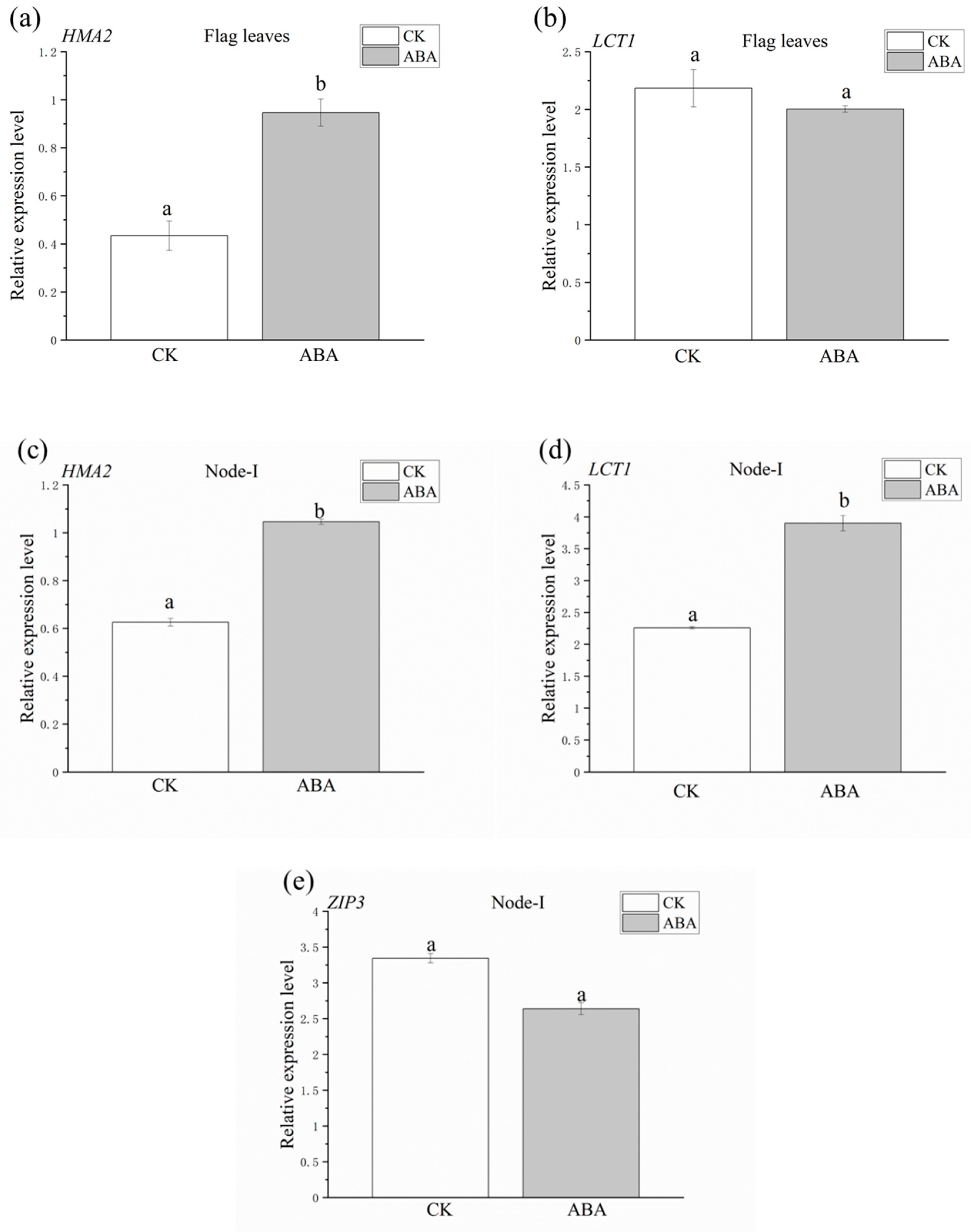 Plants 12 01902 g005