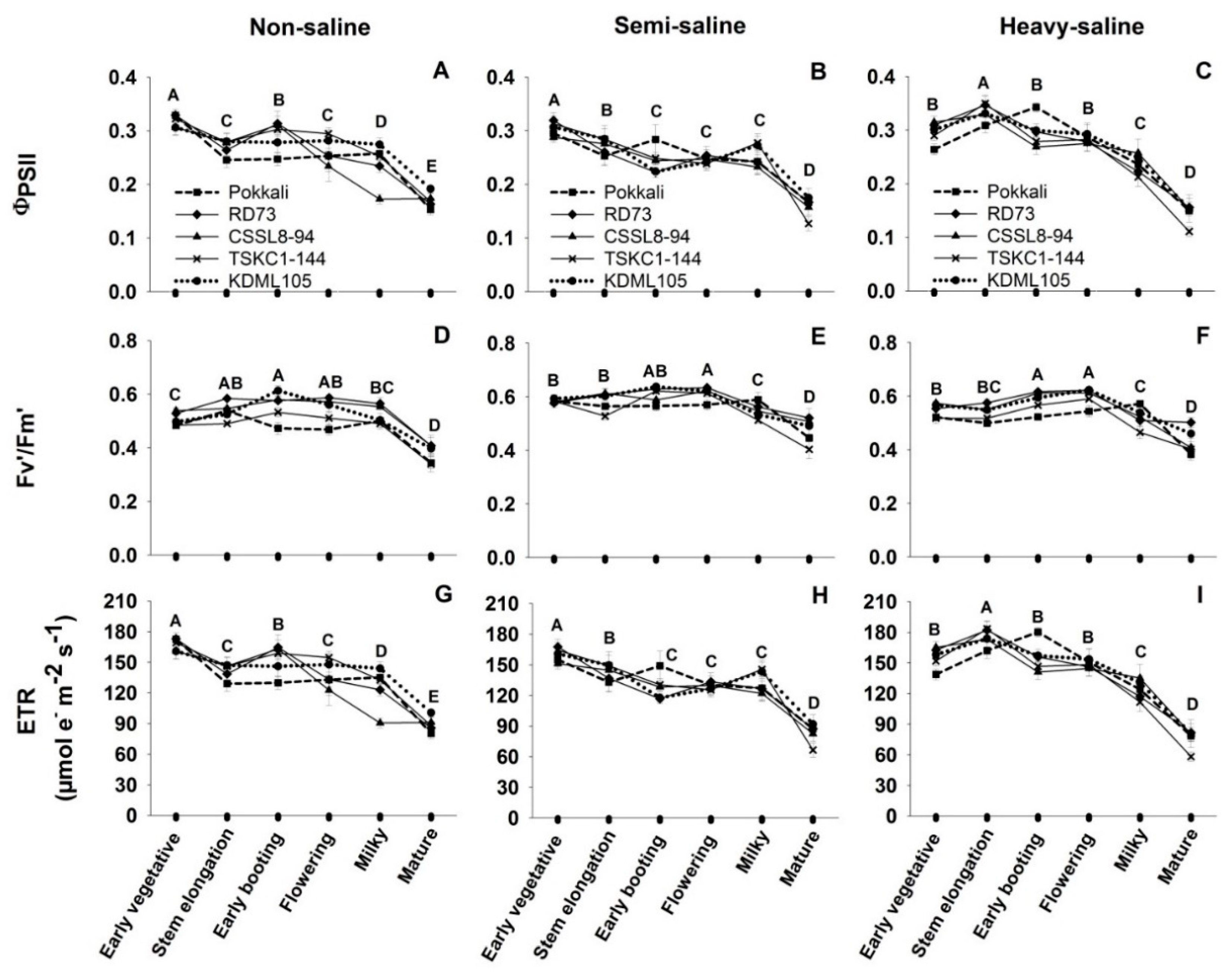 Plants 12 01903 g003