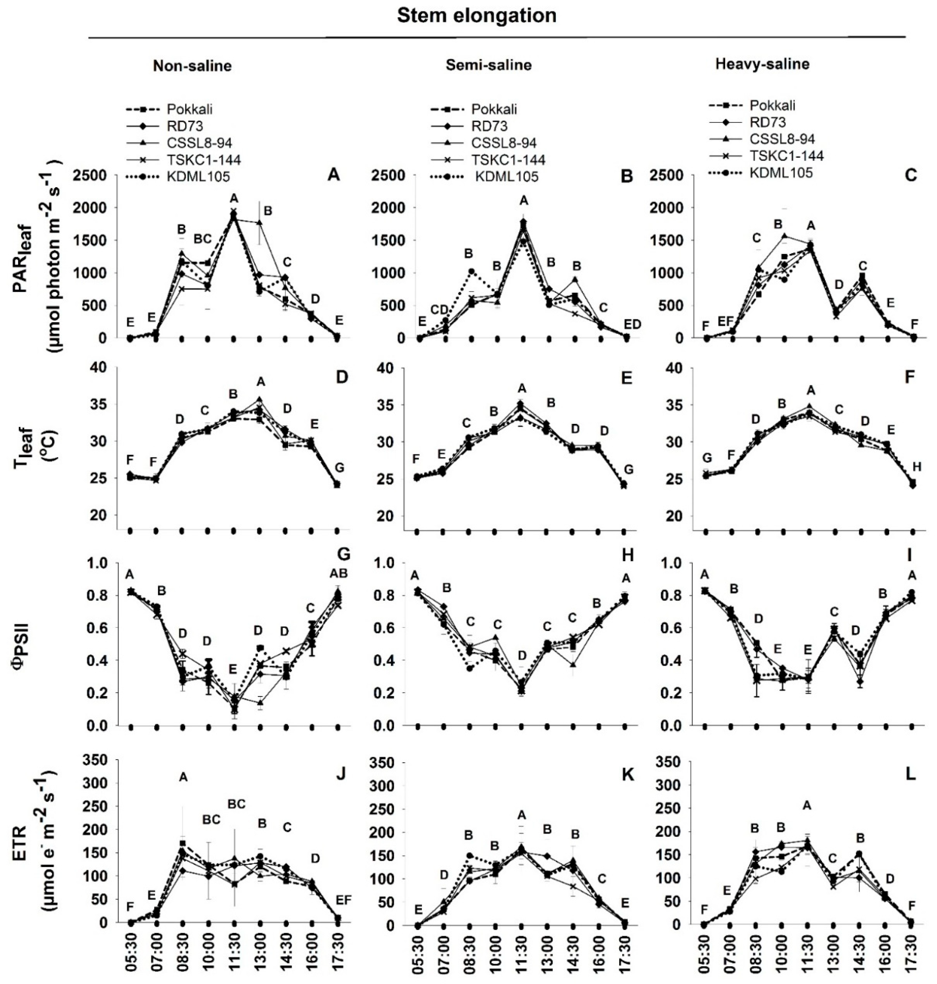 Plants 12 01903 g004