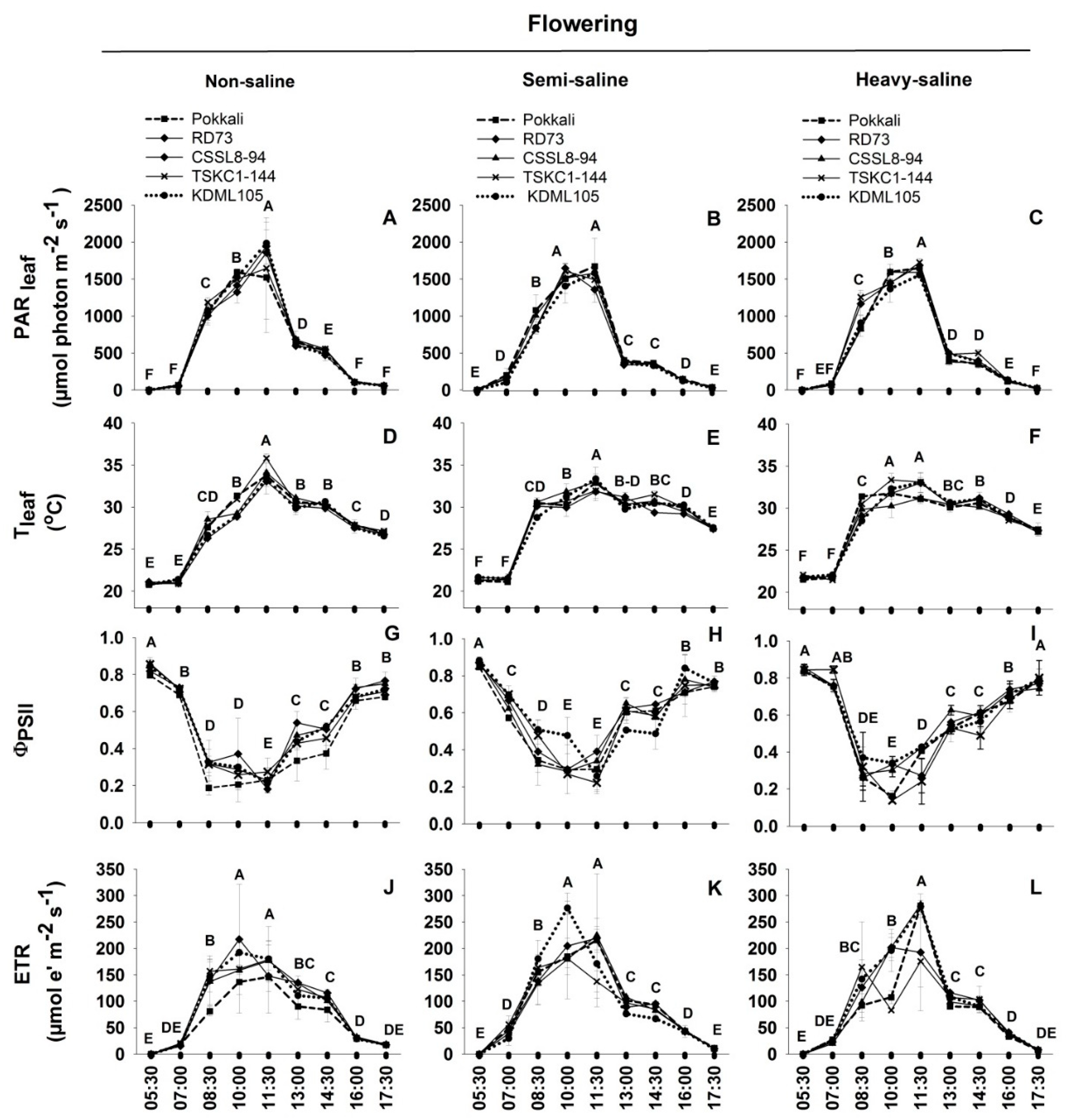 Plants 12 01903 g005