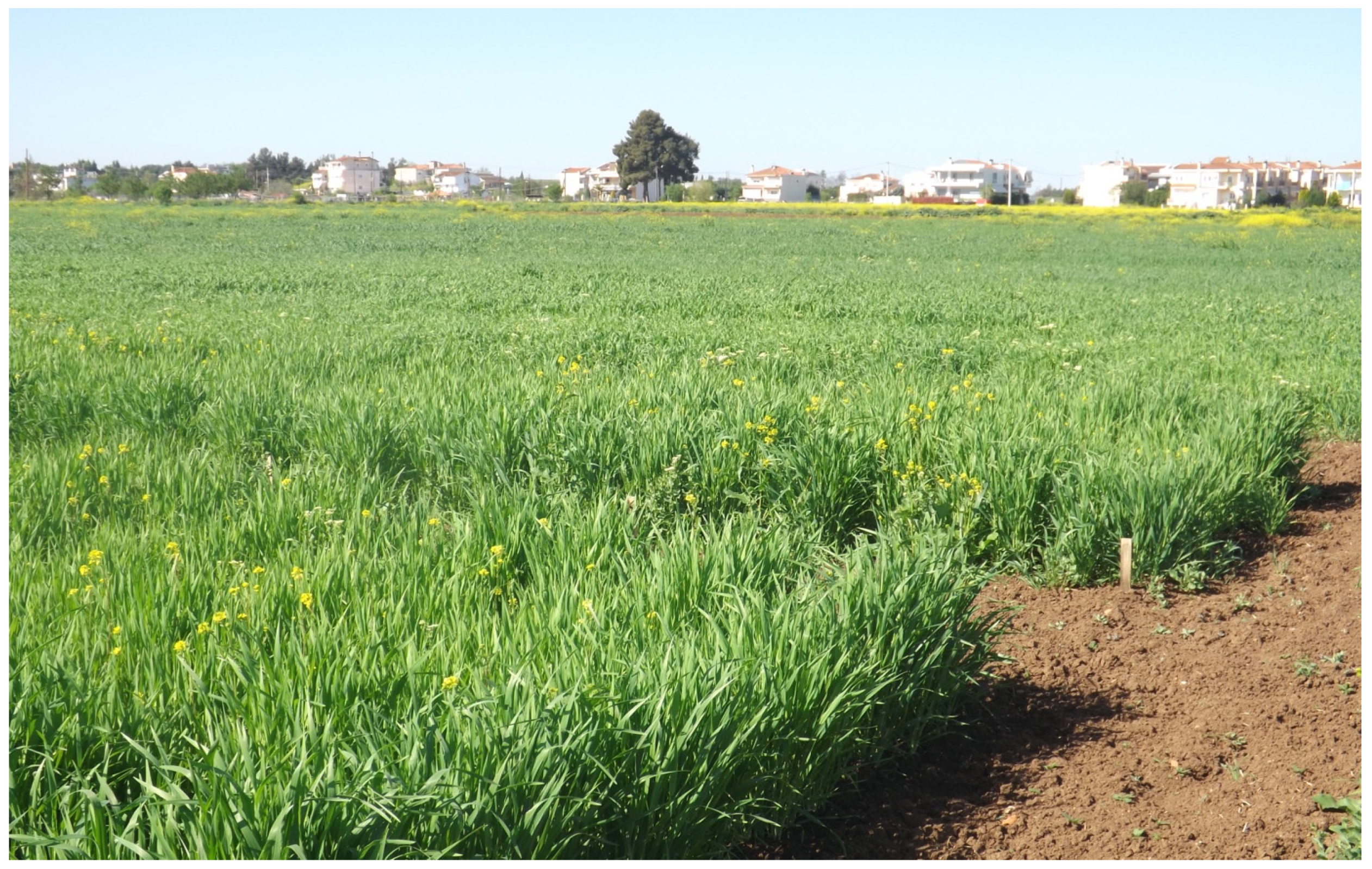 Plants 12 01908 g005