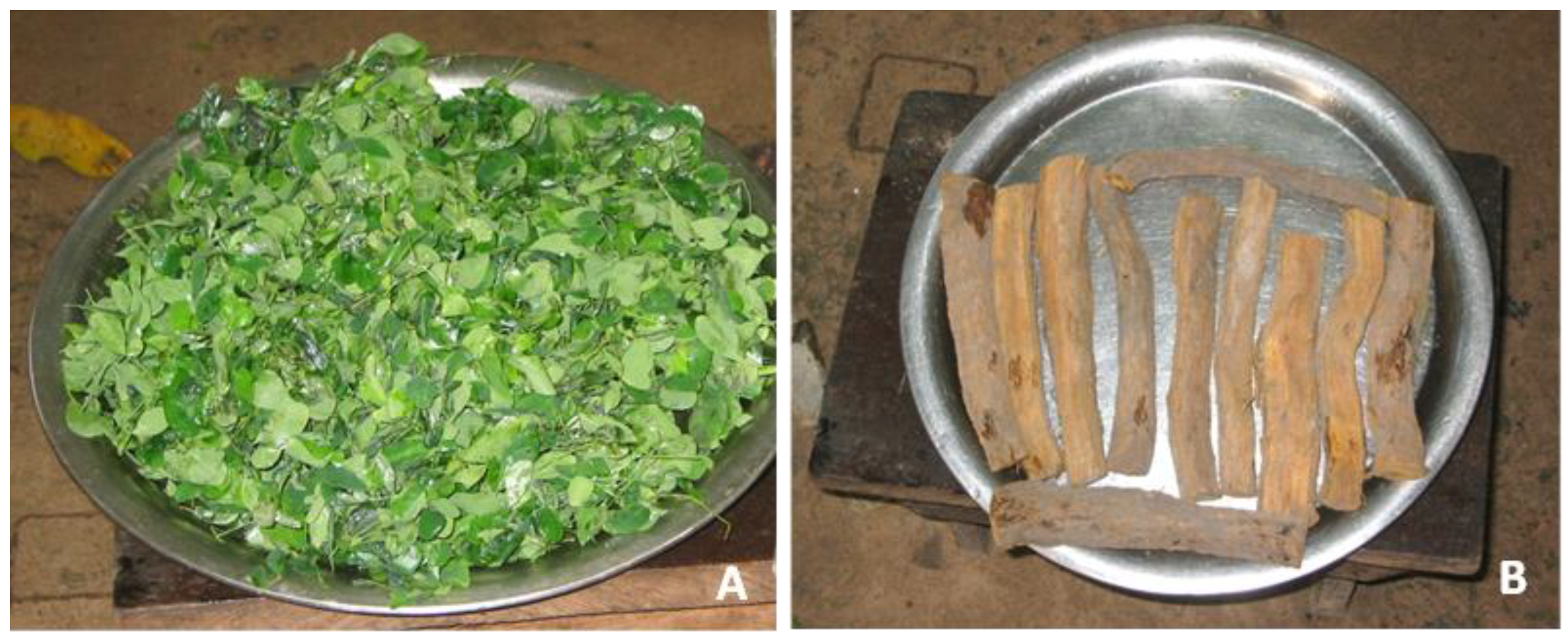 Plants 12 01909 g002