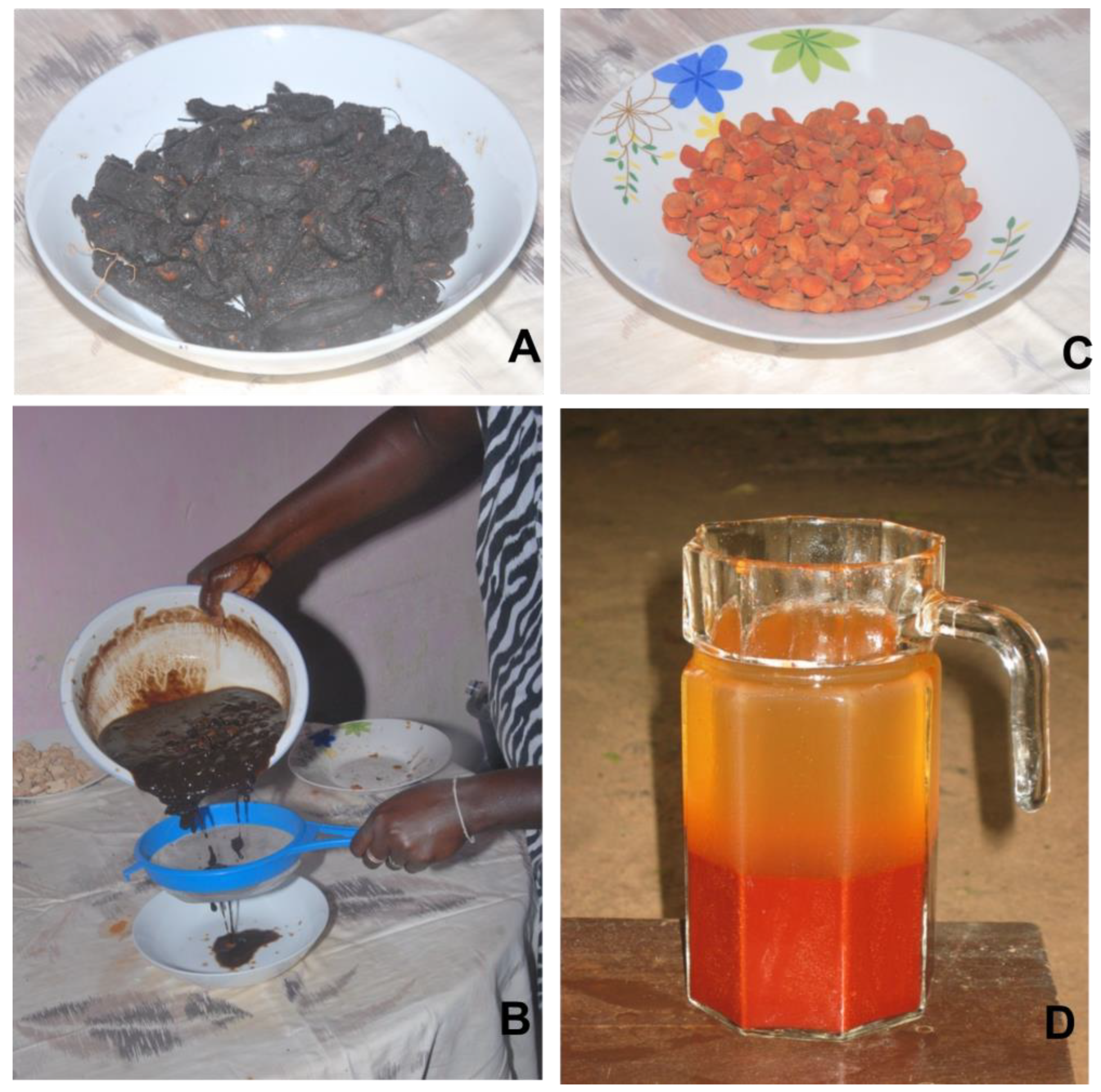 Plants 12 01909 g003