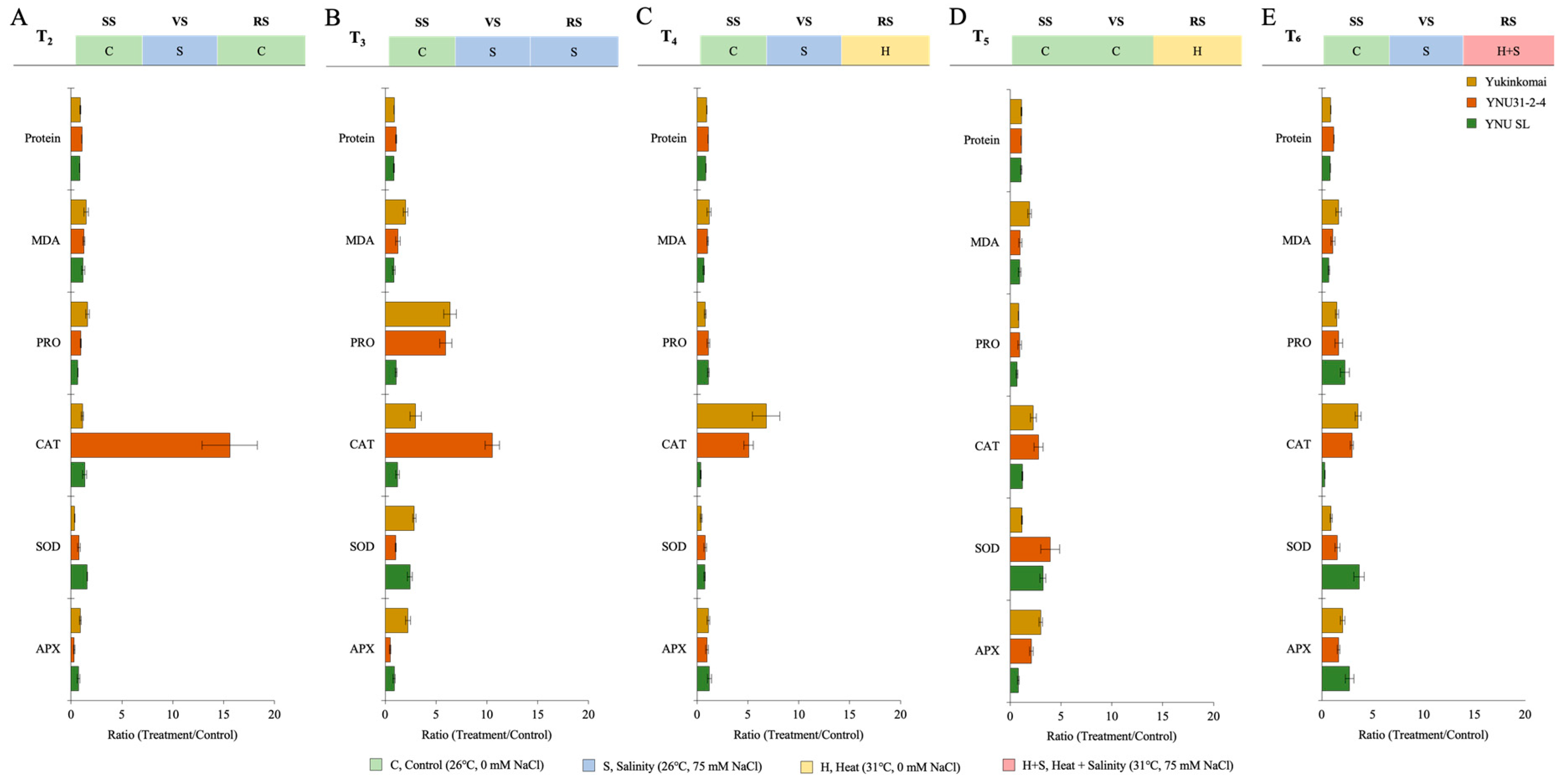 Plants 12 01910 g005 Plants 12 01910 g005