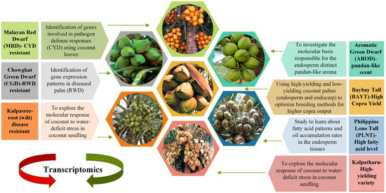 Plants 12 01913 g002