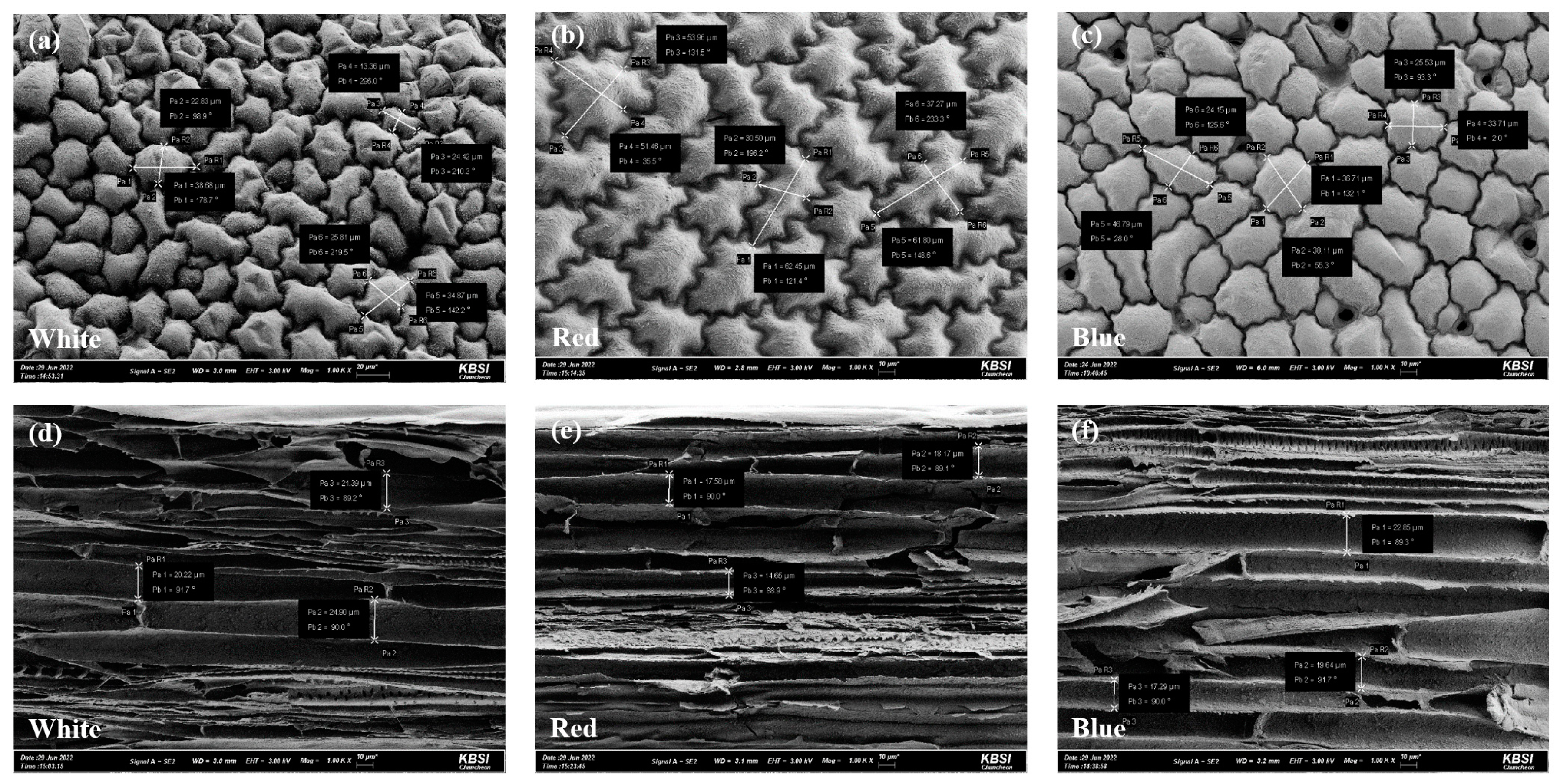 Plants 12 01914 g001 Plants 12 01914 g001
