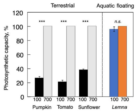Plants 12 01928 g004