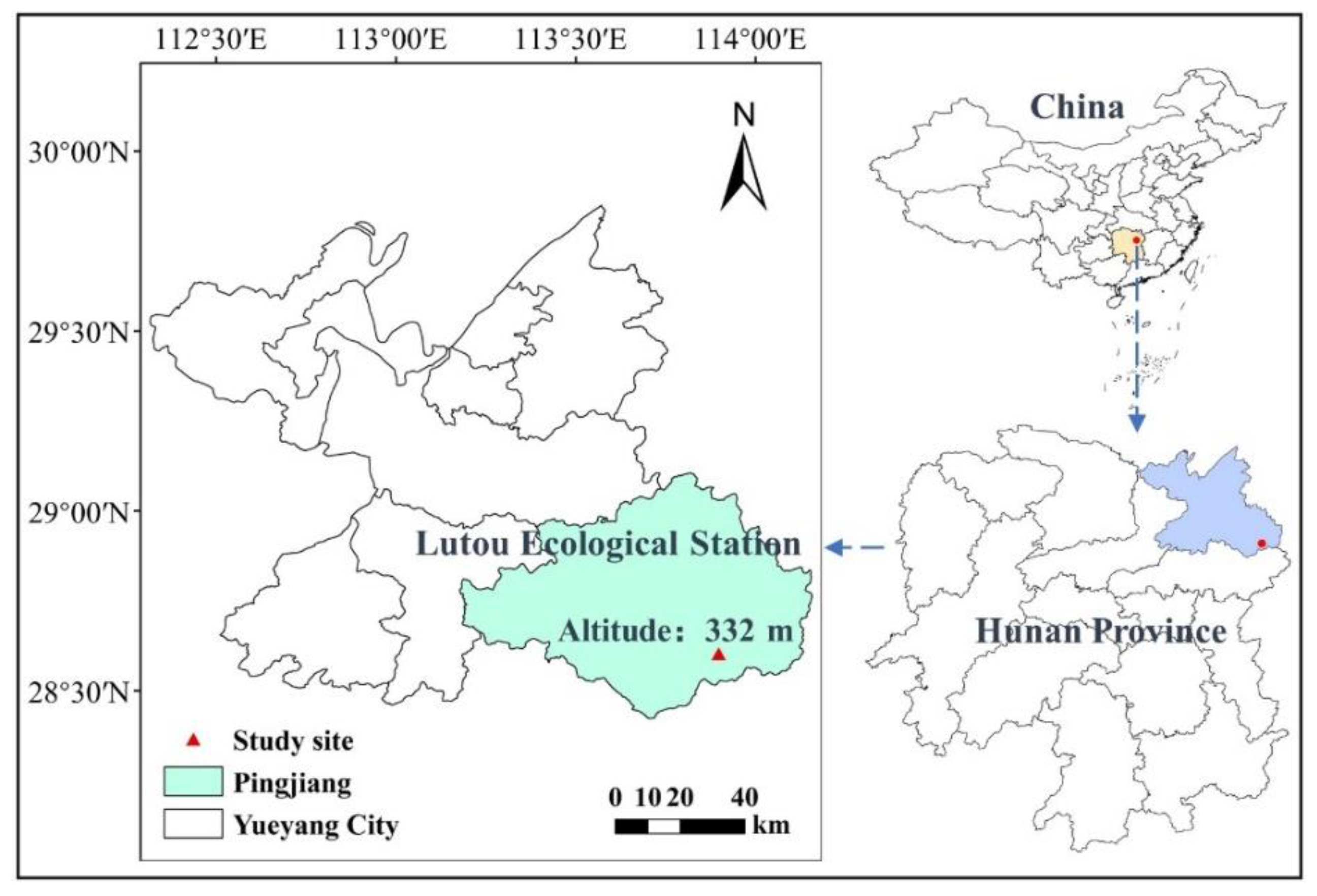 Plants 12 01931 g008