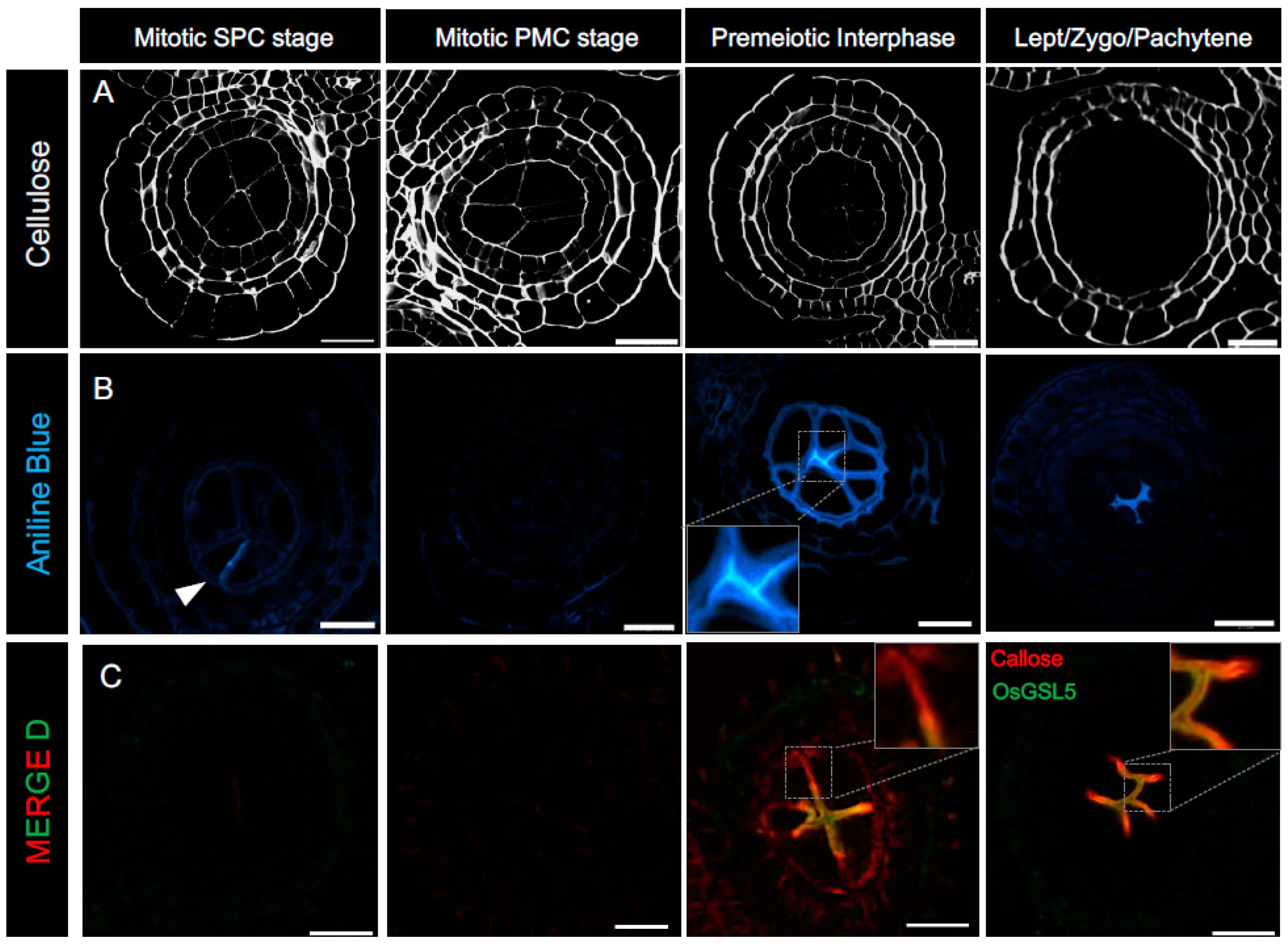Plants 12 01936 g002