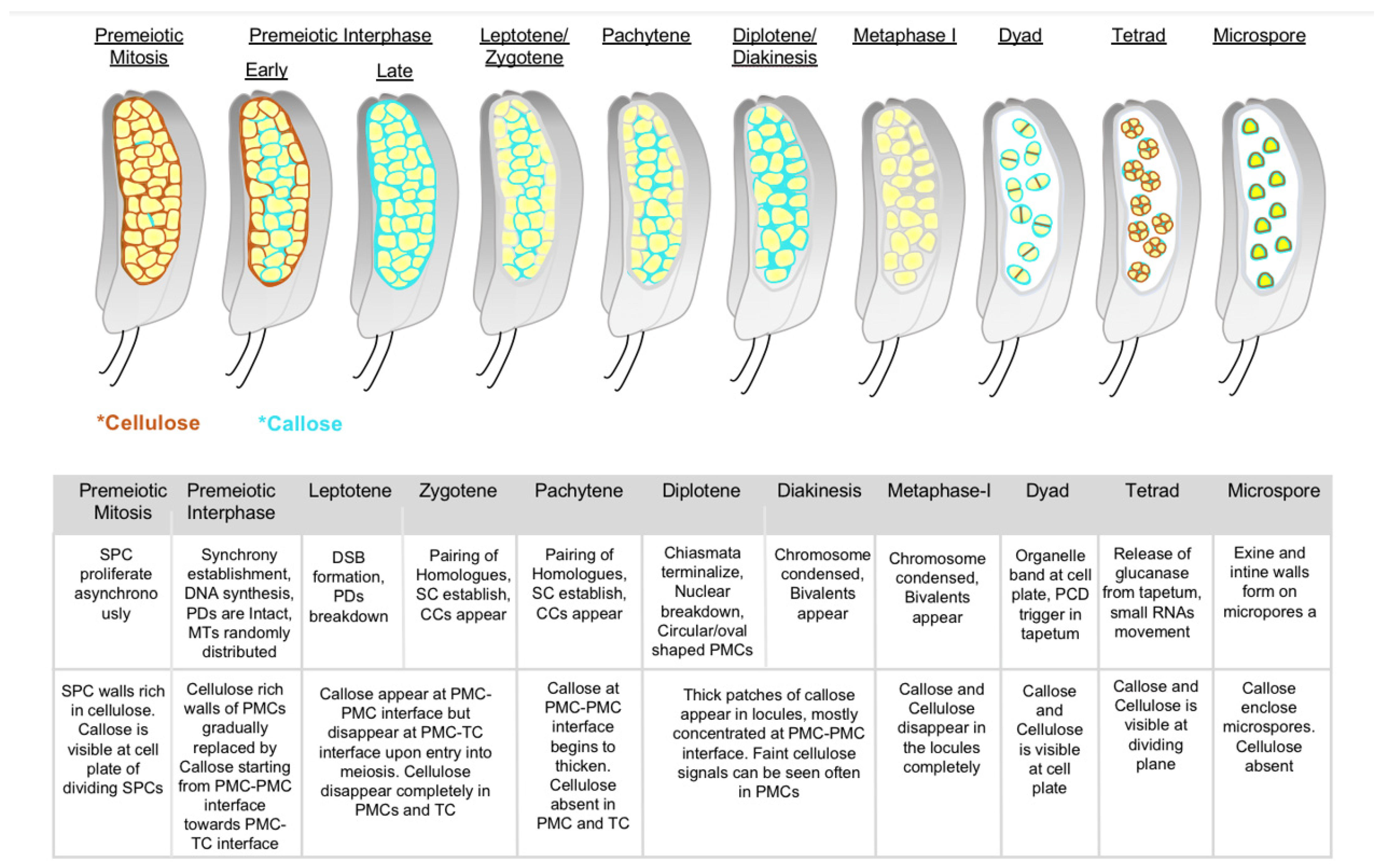 Plants 12 01936 g003