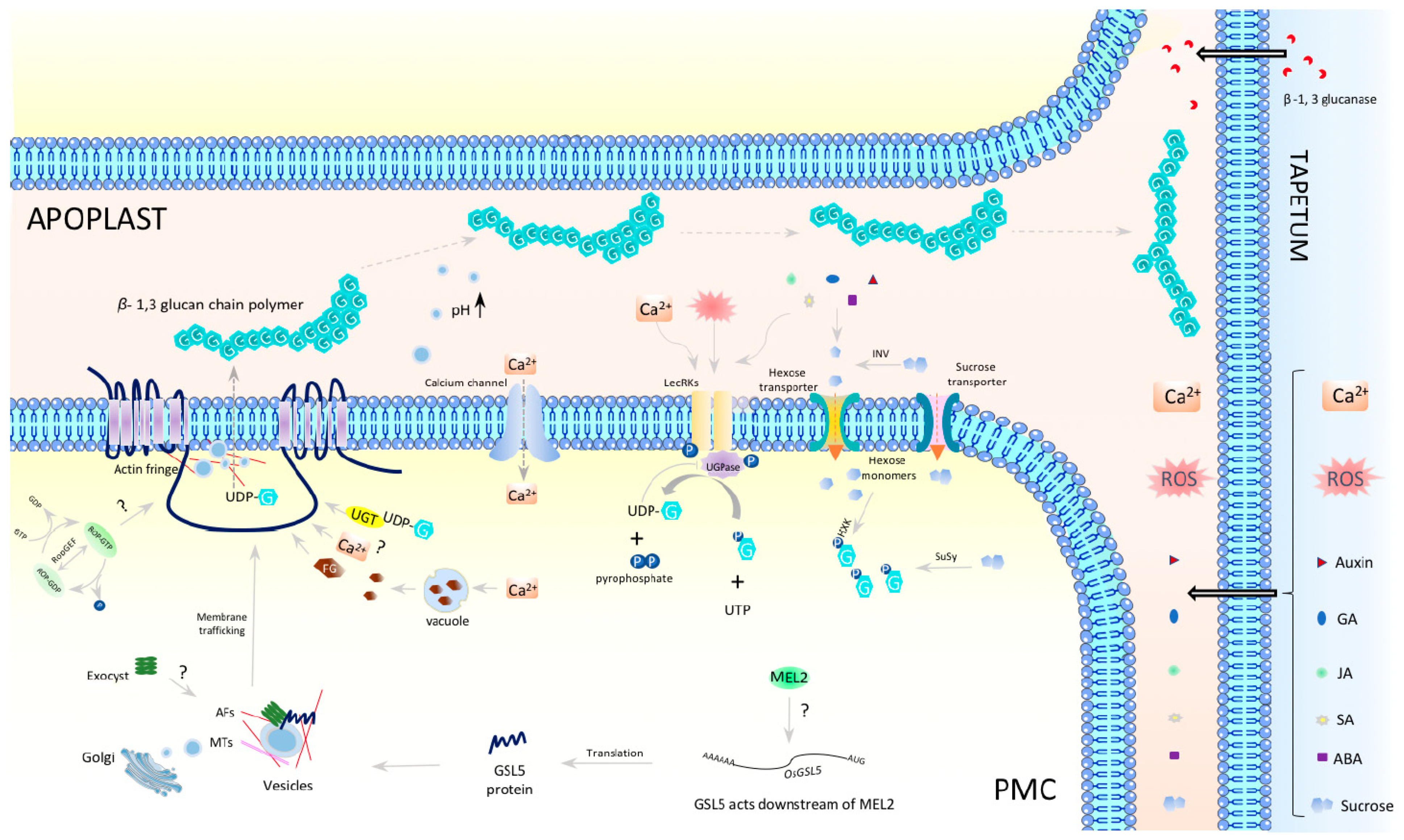 Plants 12 01936 g004