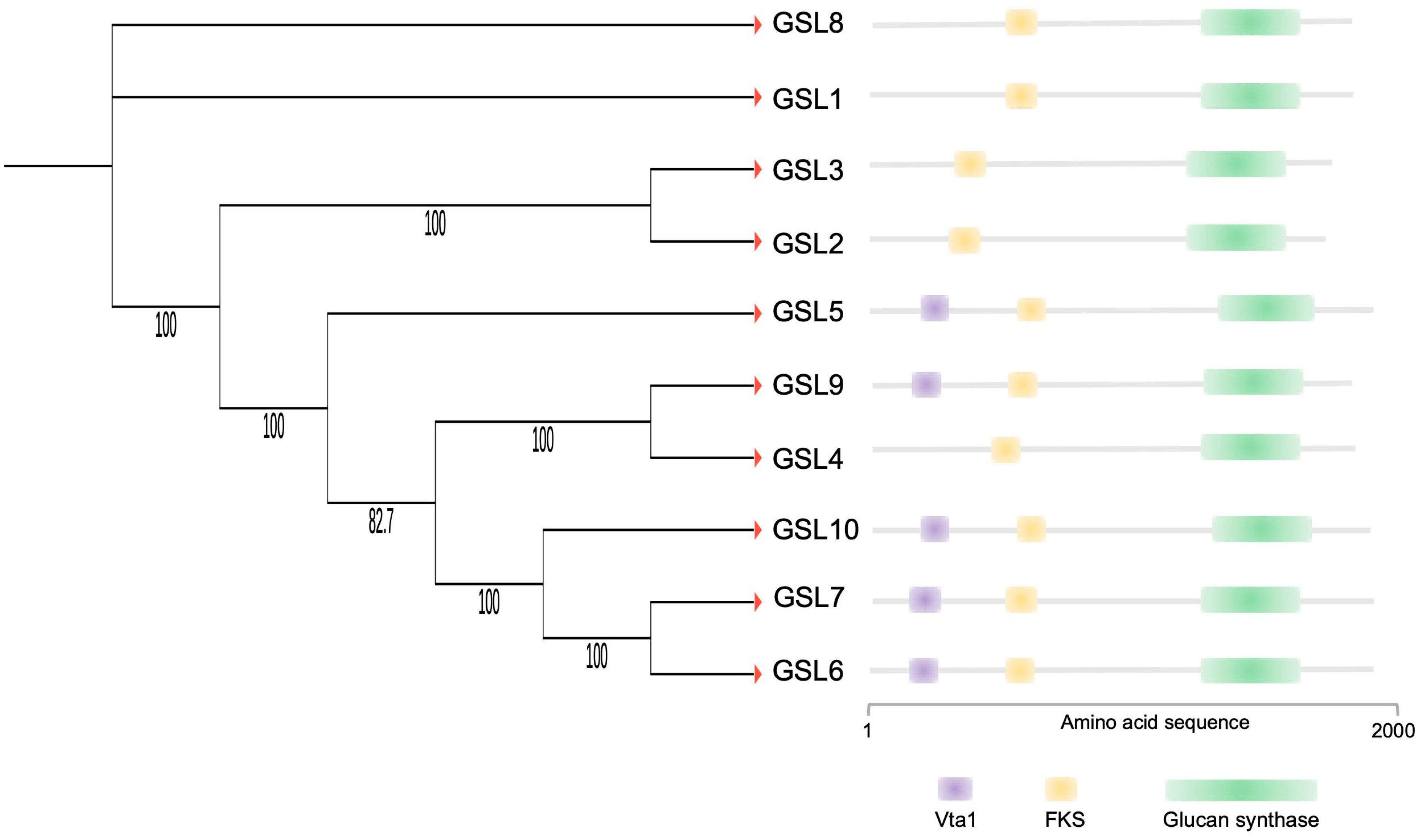 Plants 12 01936 g005