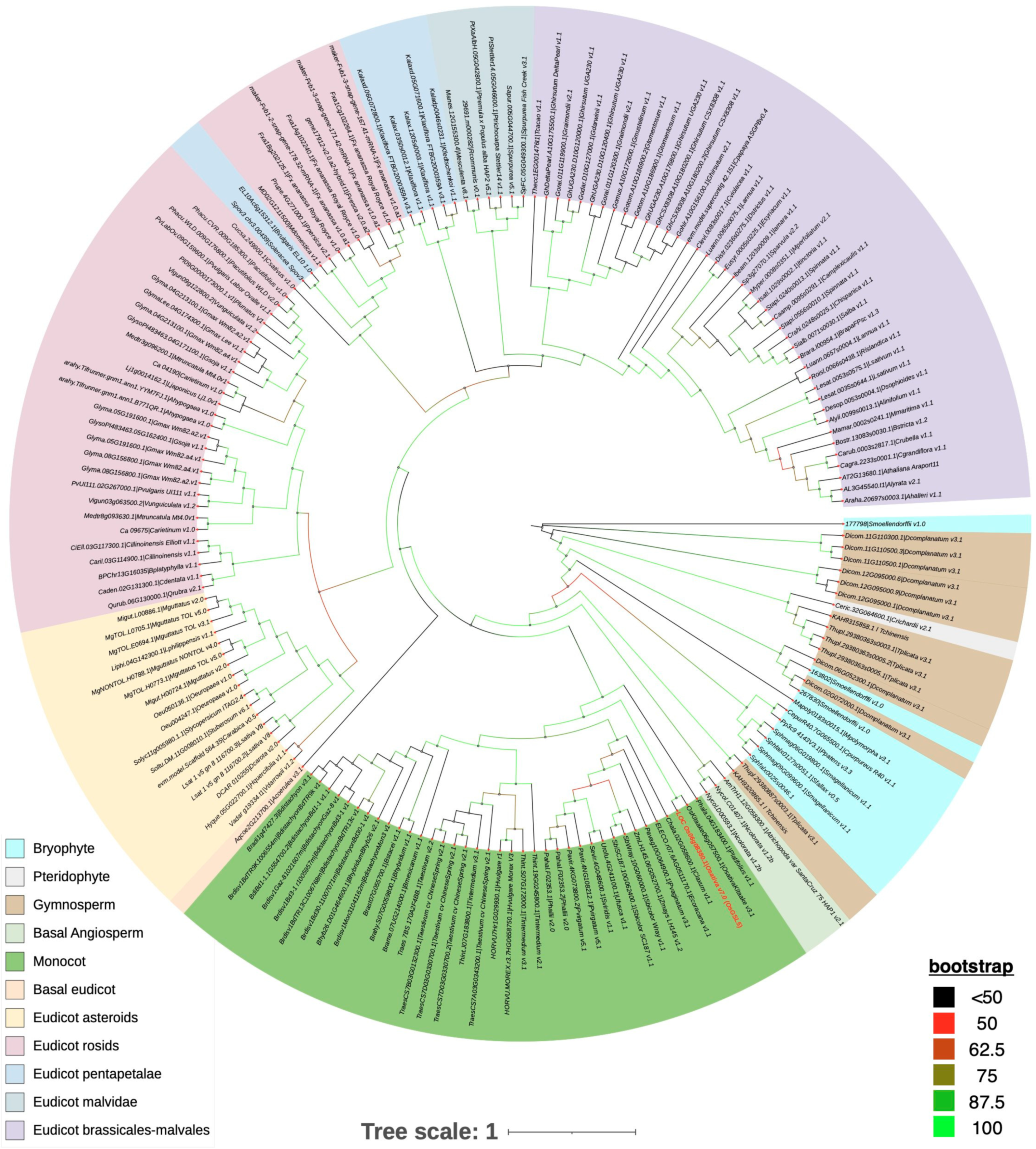Plants 12 01936 g006