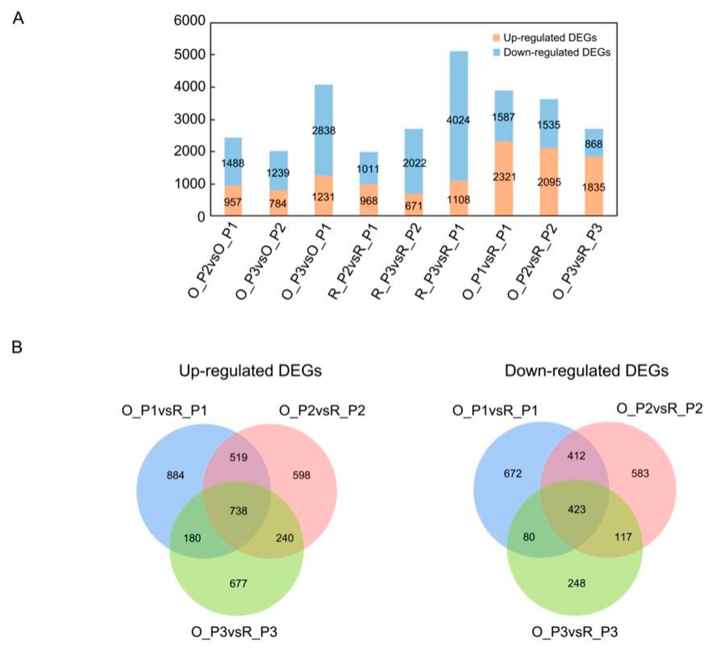 Plants 12 01941 g002