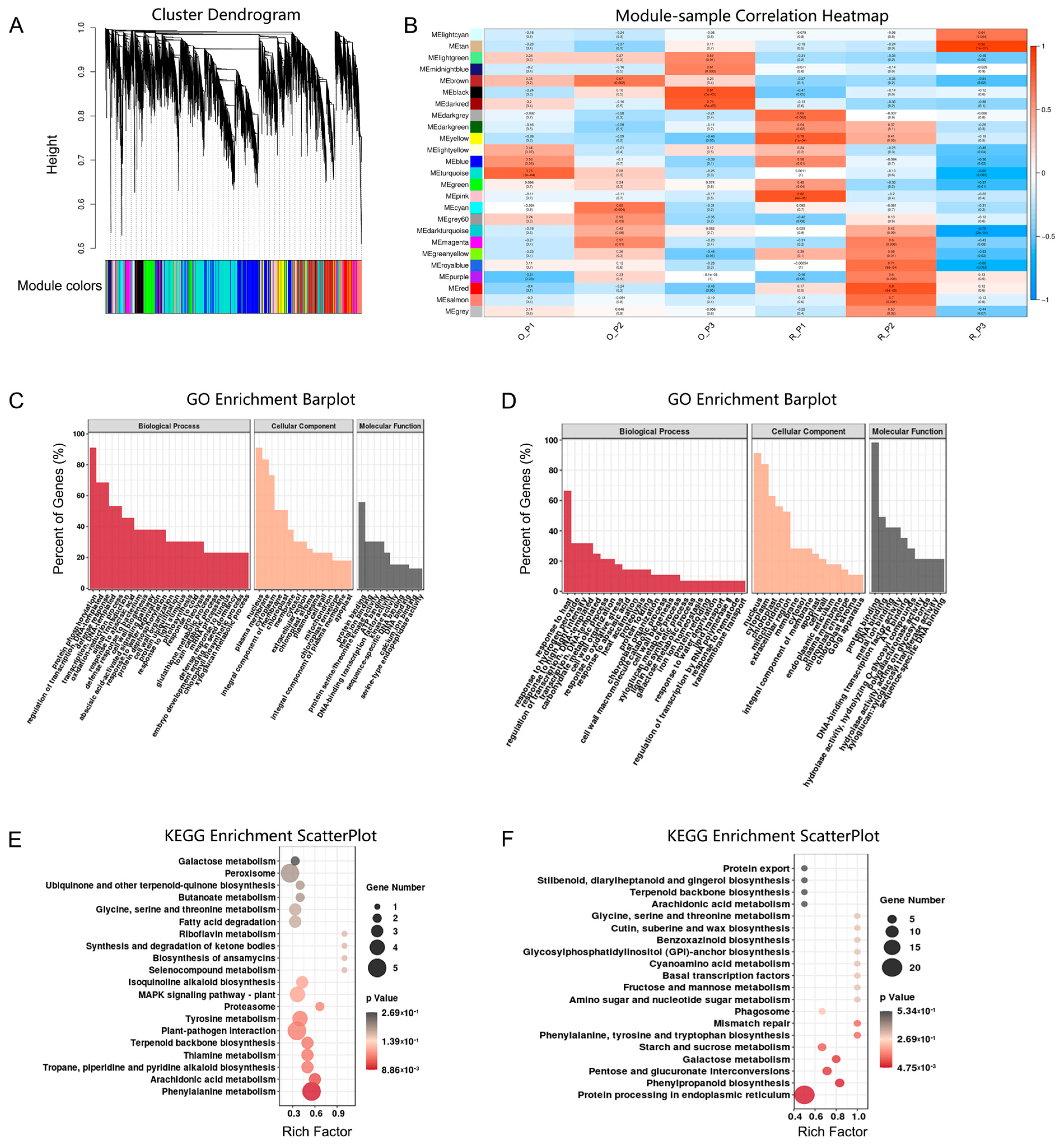 Plants 12 01941 g003
