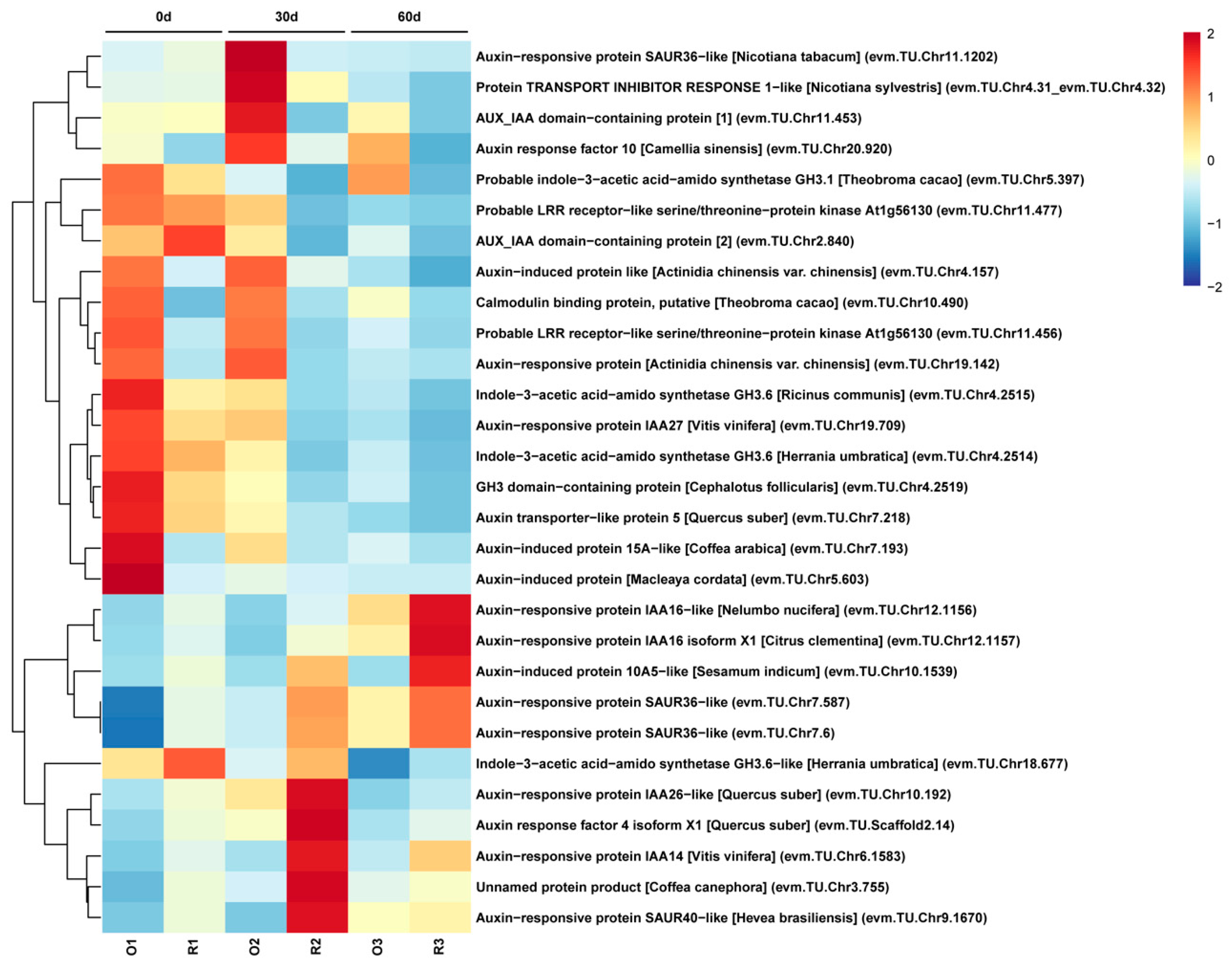 Plants 12 01941 g005