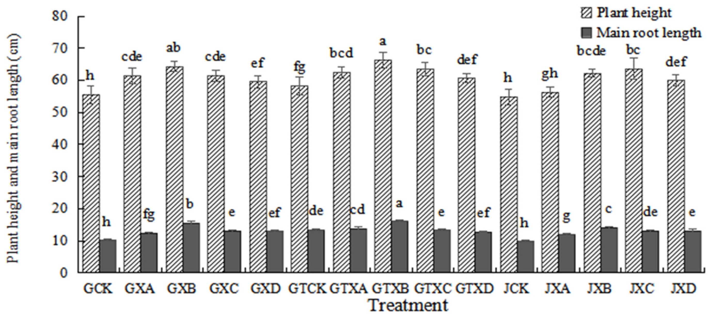 Plants 12 01957 g001
