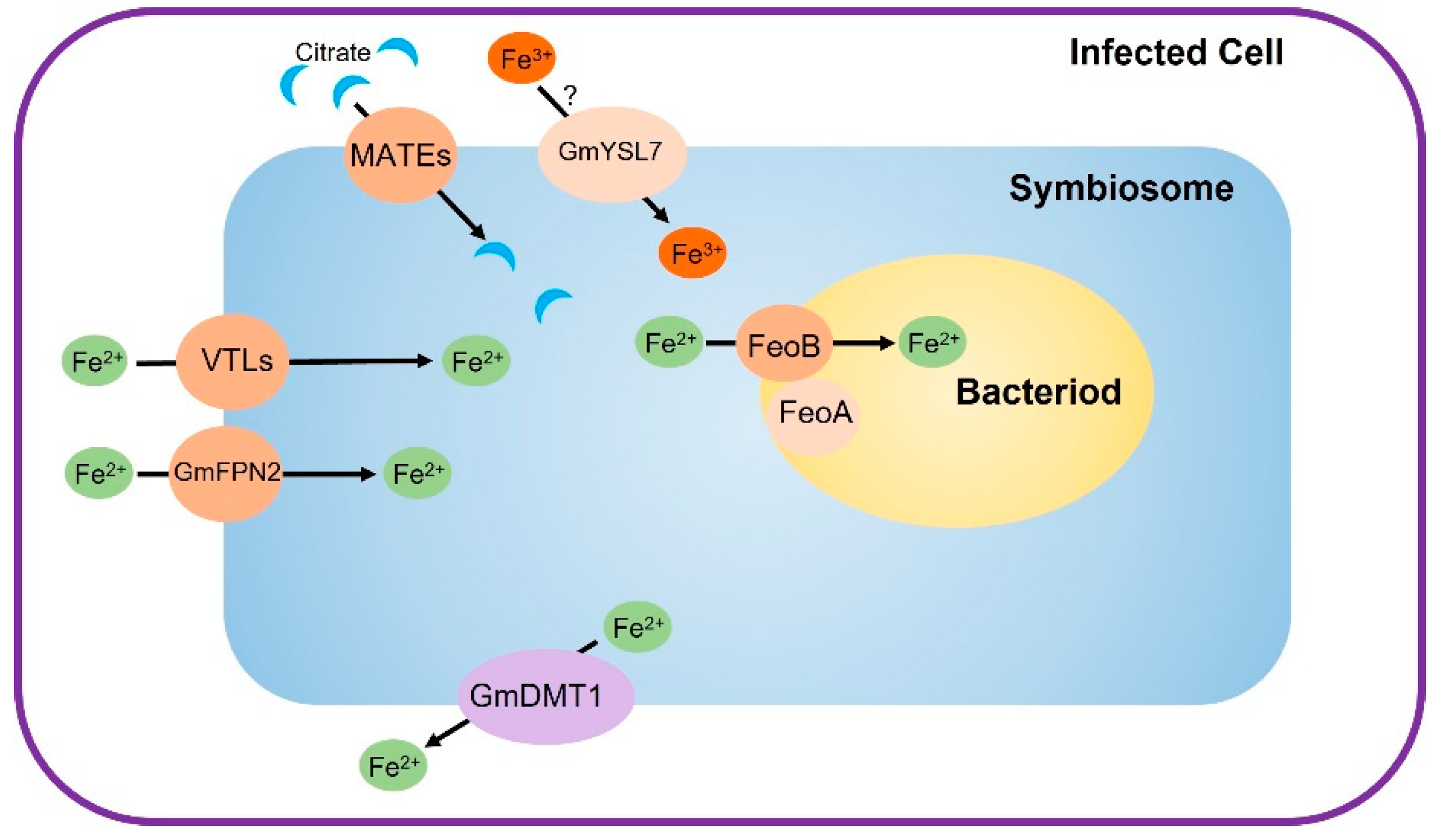 Plants 12 01958 g002