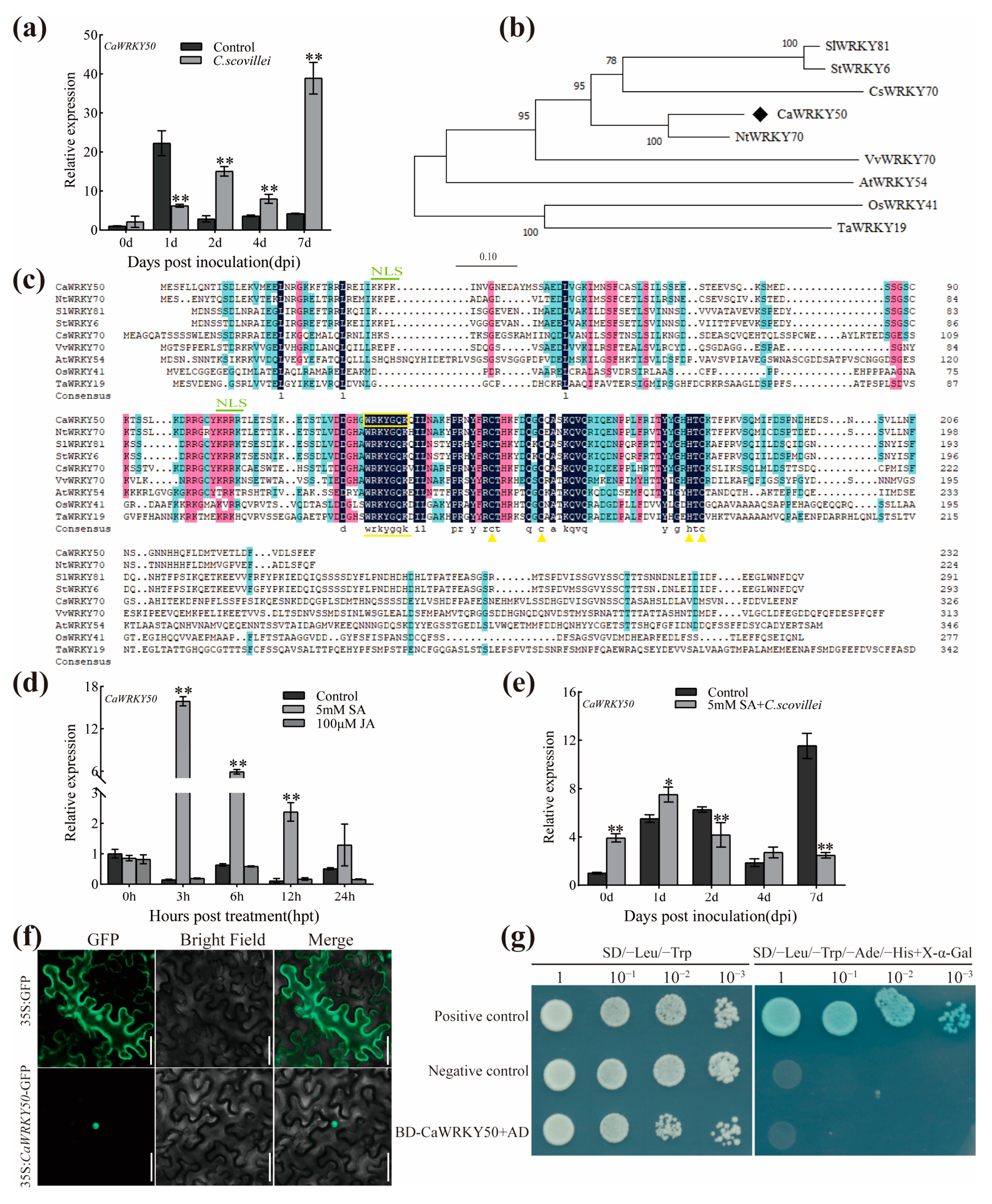 Plants 12 01962 g001