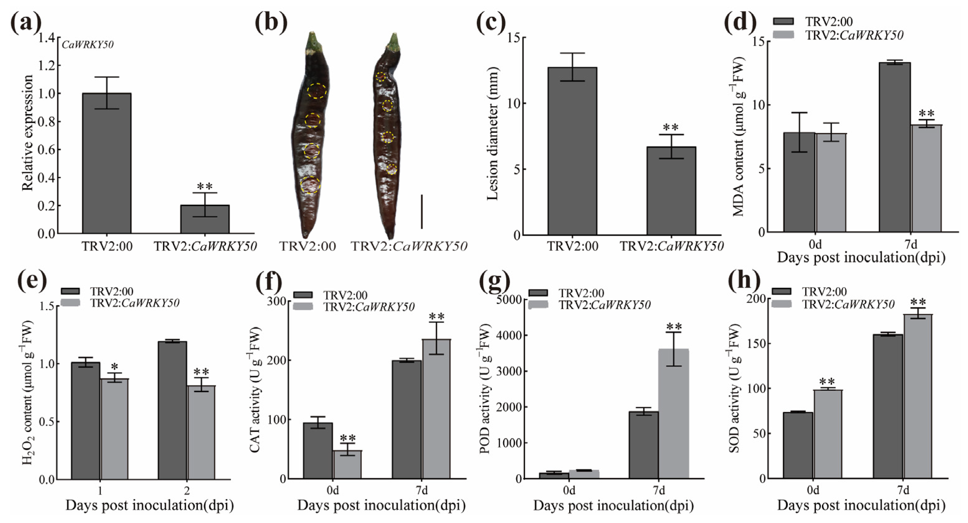 Plants 12 01962 g002