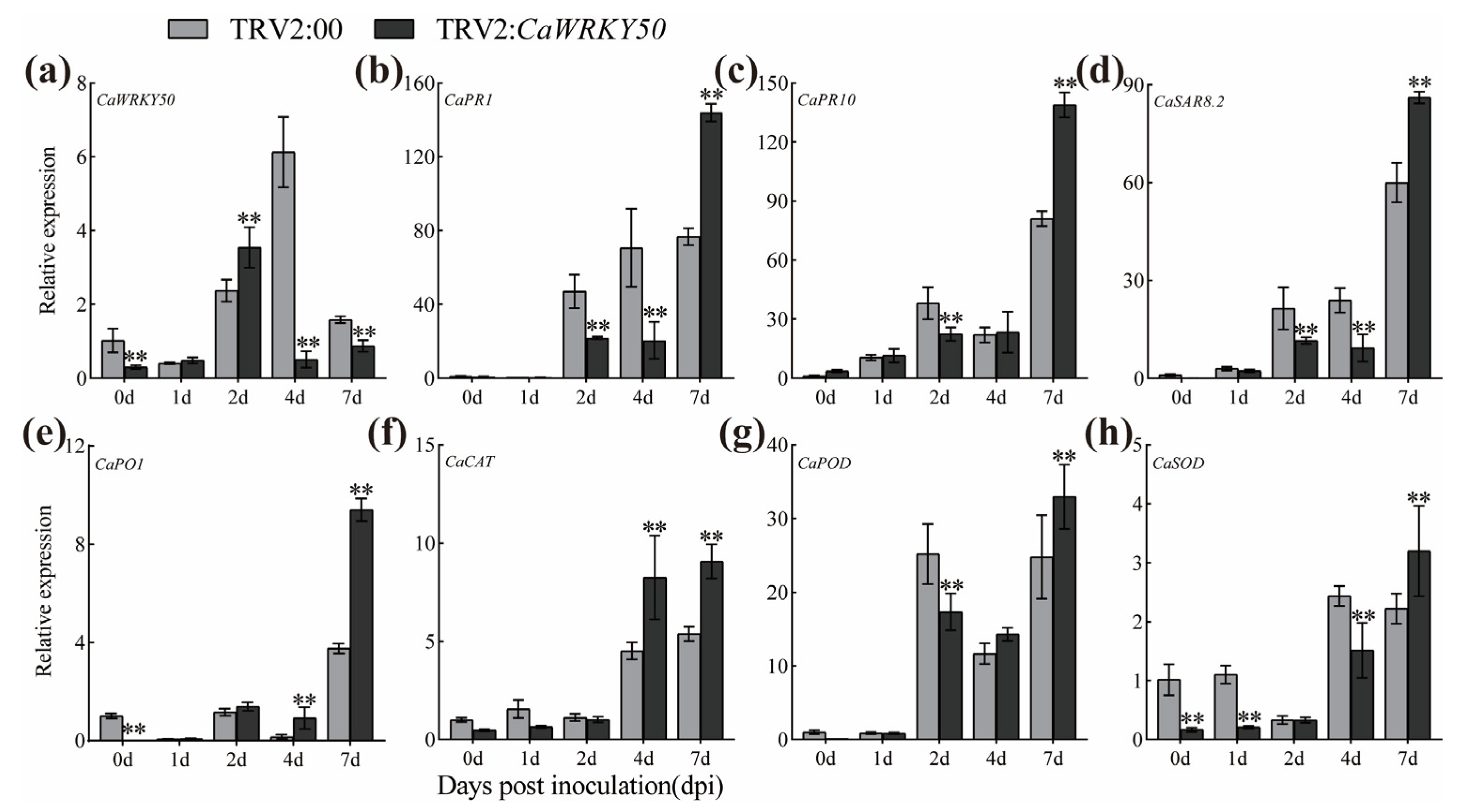 Plants 12 01962 g003